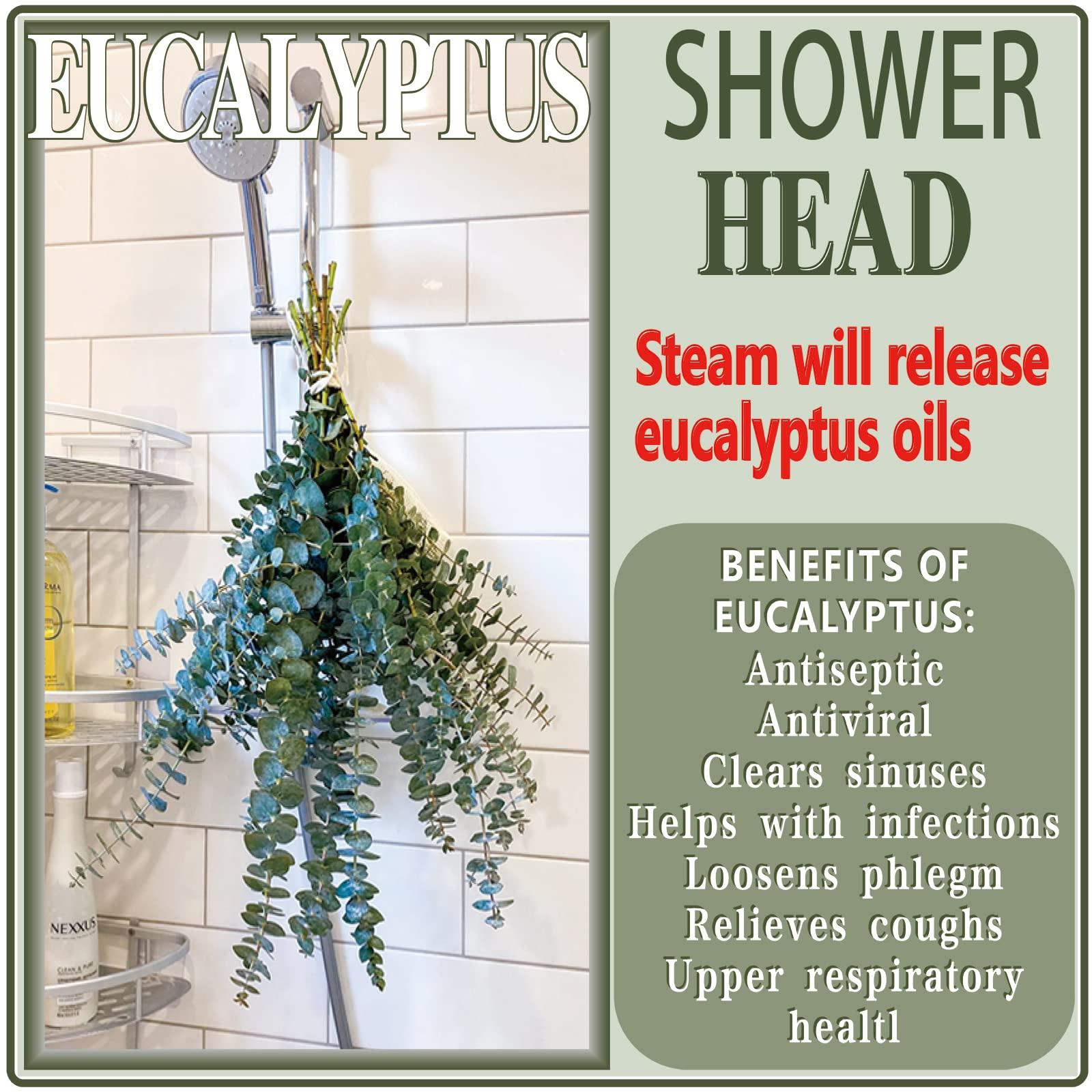 20 Pcs Preserved Dried Eucalyptus Stems, 17" Natural Fresh Eucalyptus Branches for Shower, Real Plant for Vase Filler, Dried Flowers Arrangement, Floral Home Decor - Image 7