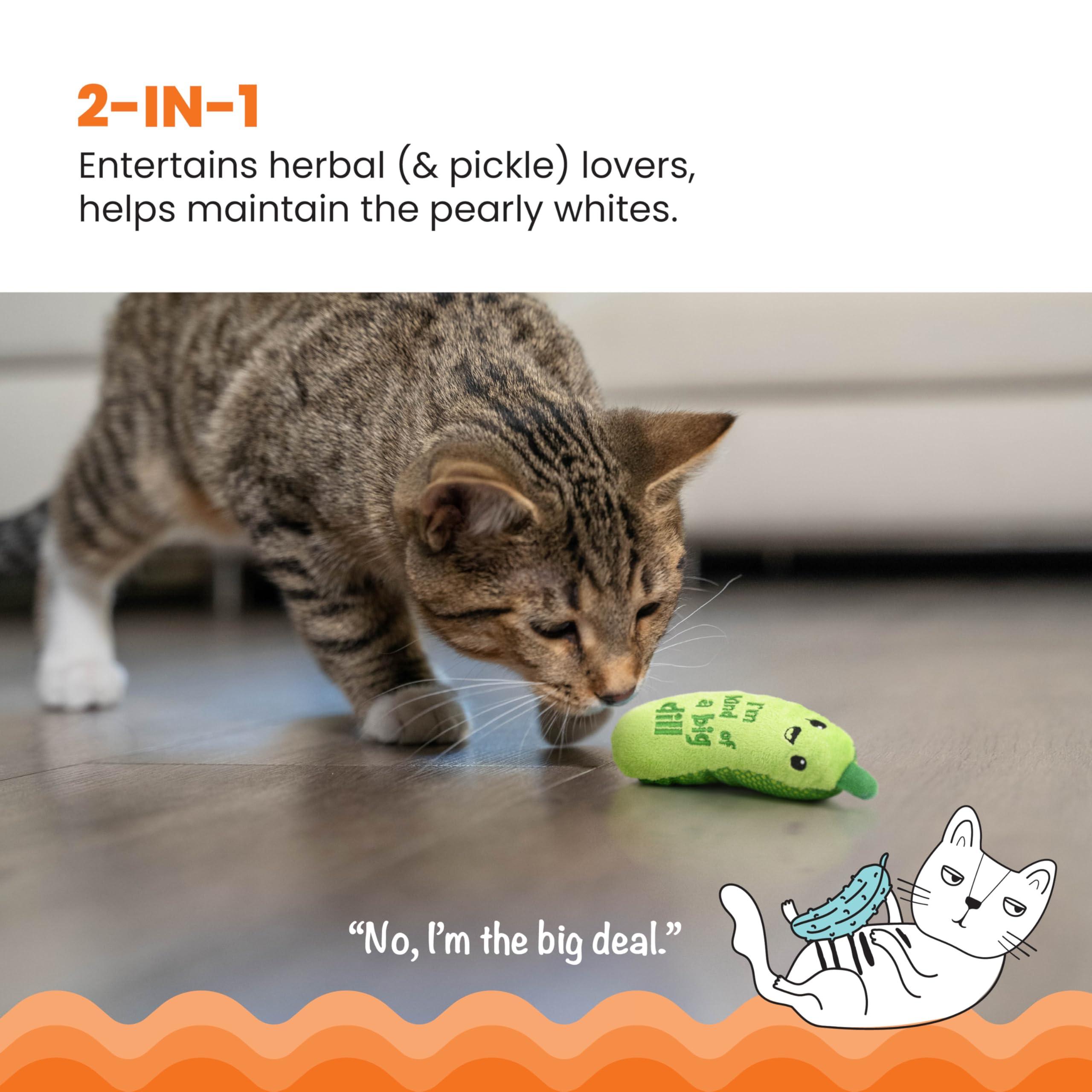 Catstages Crunchy Pickle Kicker Dental Catnip Cat Toy - Image 2