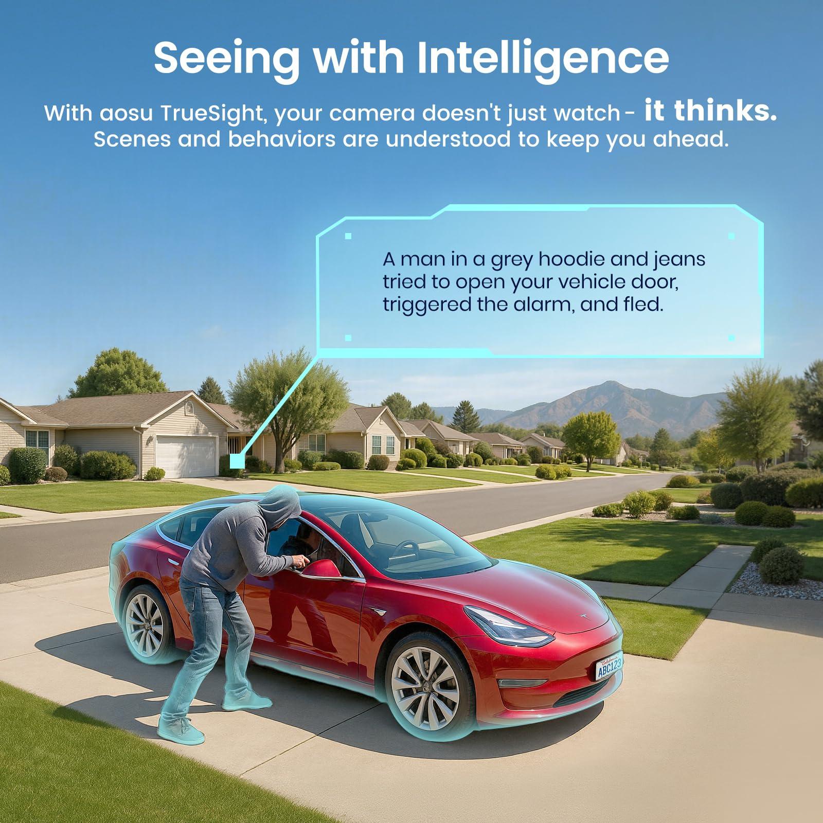 AOSU AI Security Cameras Wireless Outdoor, 6-Cam Kit, 4K Smart Home Security System with HomeCortex, AI Face Recognition & Behavior Detection, 16TB Expandable Local Storage, Integrated Solar Panel - Image 6