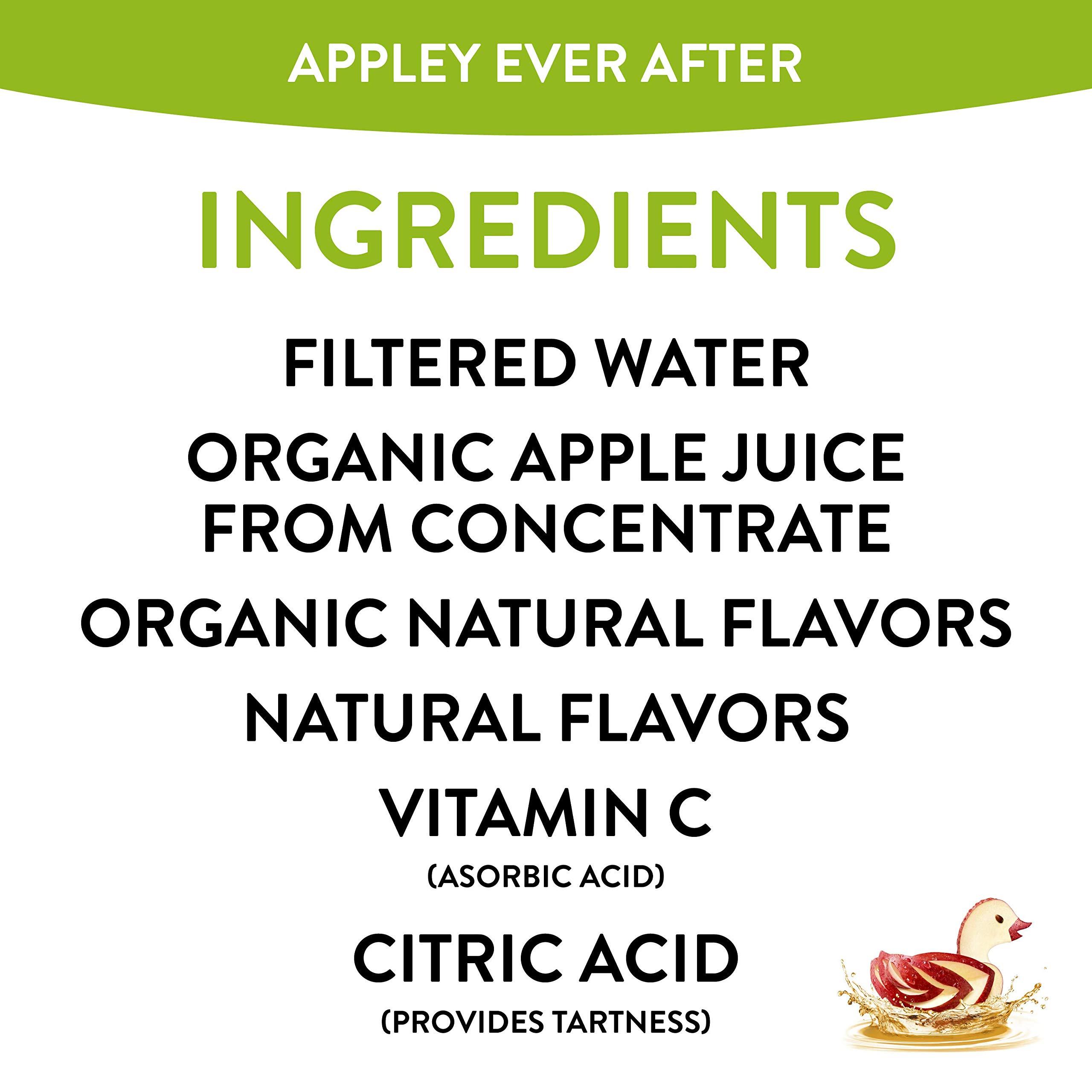 Honest Kids Appley Ever After, Organic Juice Drink, 6 Fl oz Juice Boxes, Pack Of 40, Apple - Image 3