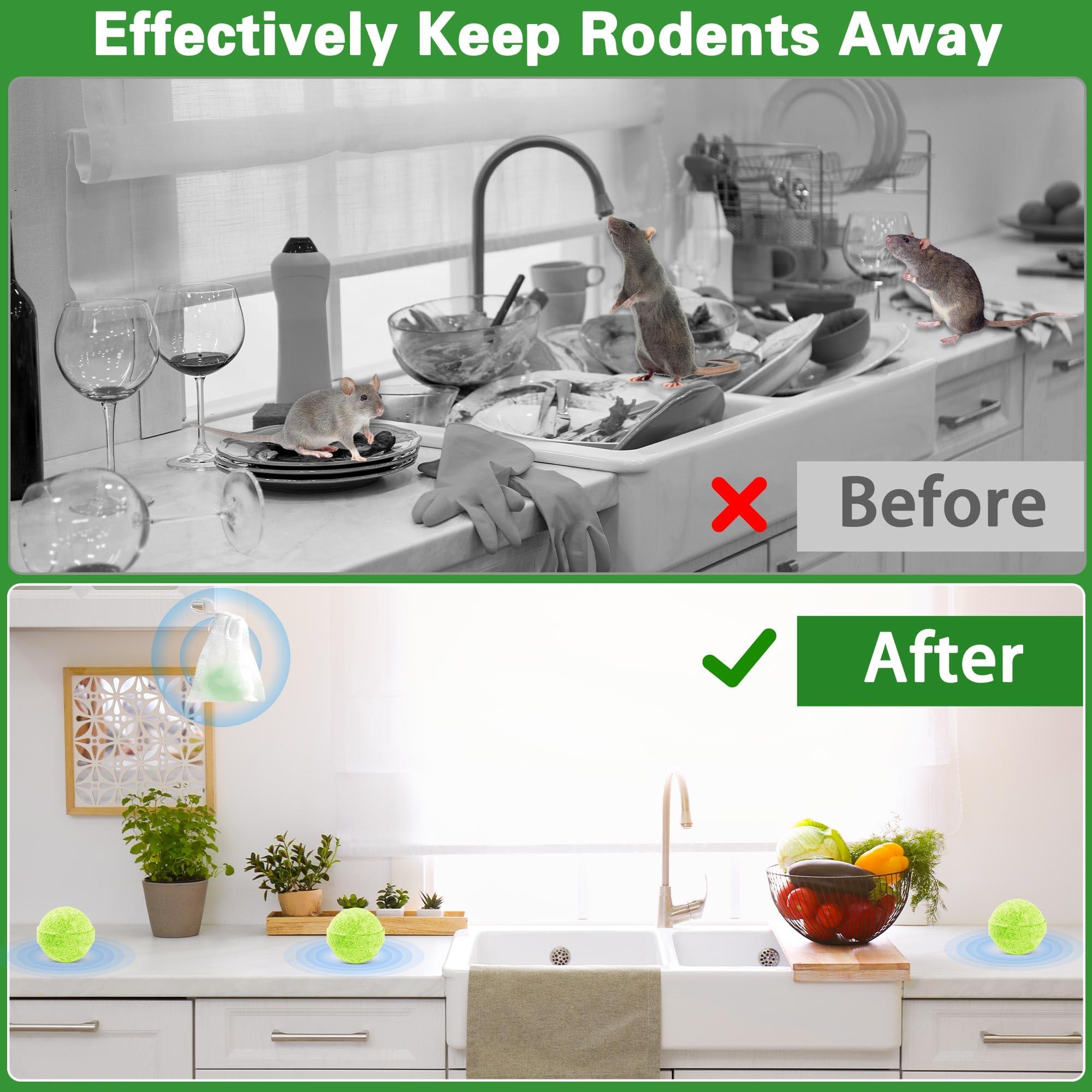 Rodent Mouse Repellent, 36 PCS Natural Rat Mice Repellant Indoor, Peppermint Oil to Repel Mice Rats Away Squirrel Pest Repellent Balls Rodent Deterrent for House Outdoor, Family & Pet Safe - Image 6