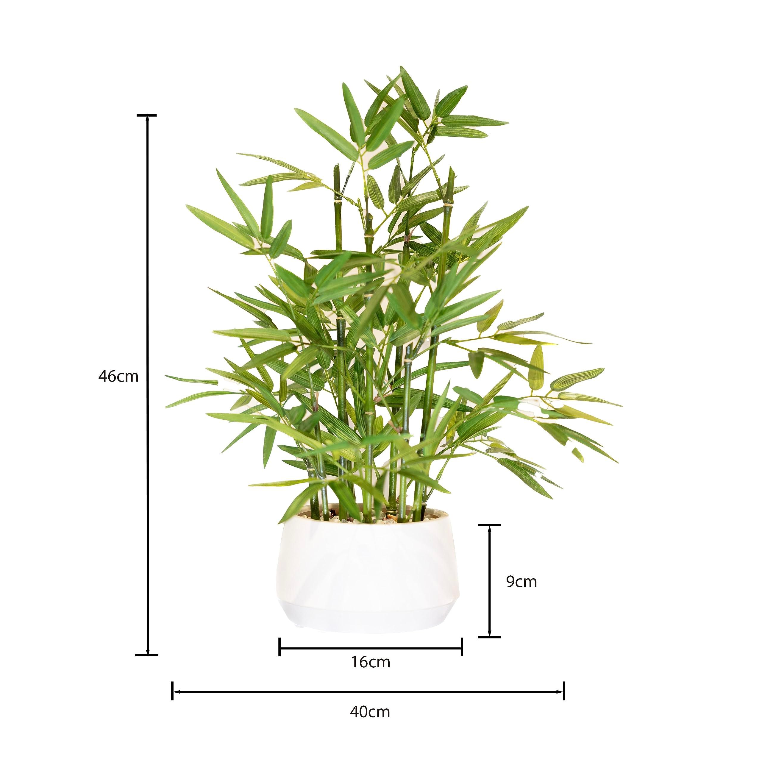 365 Blooming Decor 18 Inch Tall White Potted Faux Bamboo Plant - Luxury Artificial Bamboo in White Pot for Home, Office, Kitchen, Counter Top, Indoor Decor, Money Tree, Lucky Tree - Image 3
