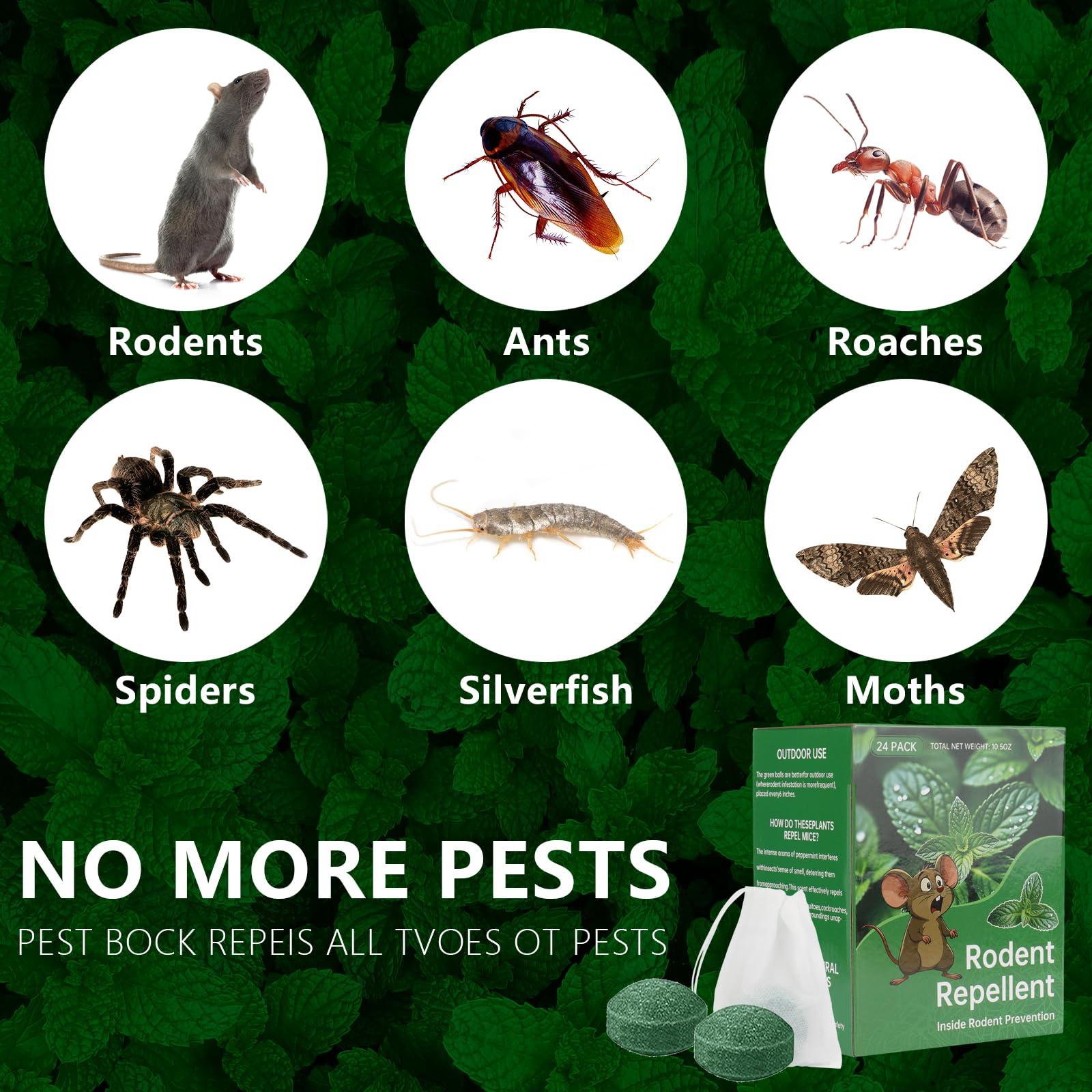 Mouse Rodent Repellent, 48 Pack Peppermint Lemon Oil Mice Repellent for Squirrel Rats Spider Pests, Natural Deterrent for Kitchen, Warehouse, Car, Cat, Indoor, Outdoor, Safe for Pets & Family - Image 4