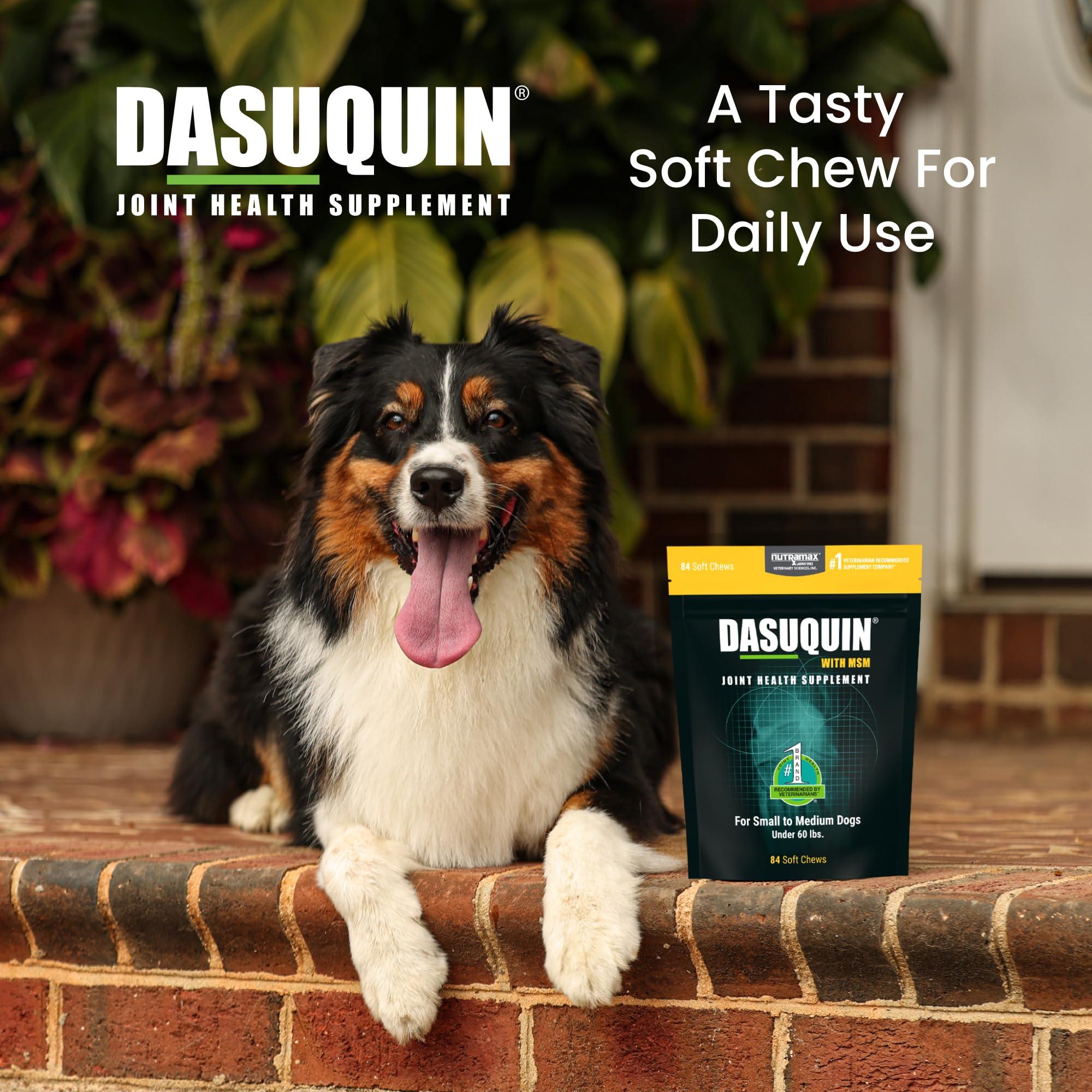 Nutramax Laboratories Dasuquin with MSM Joint Health Supplement for Small to Medium Dogs - With Glucosamine, MSM, Chondroitin, ASU, Boswellia Serrata Extract, and Green Tea Extract, 84 Soft Chews - Image 4
