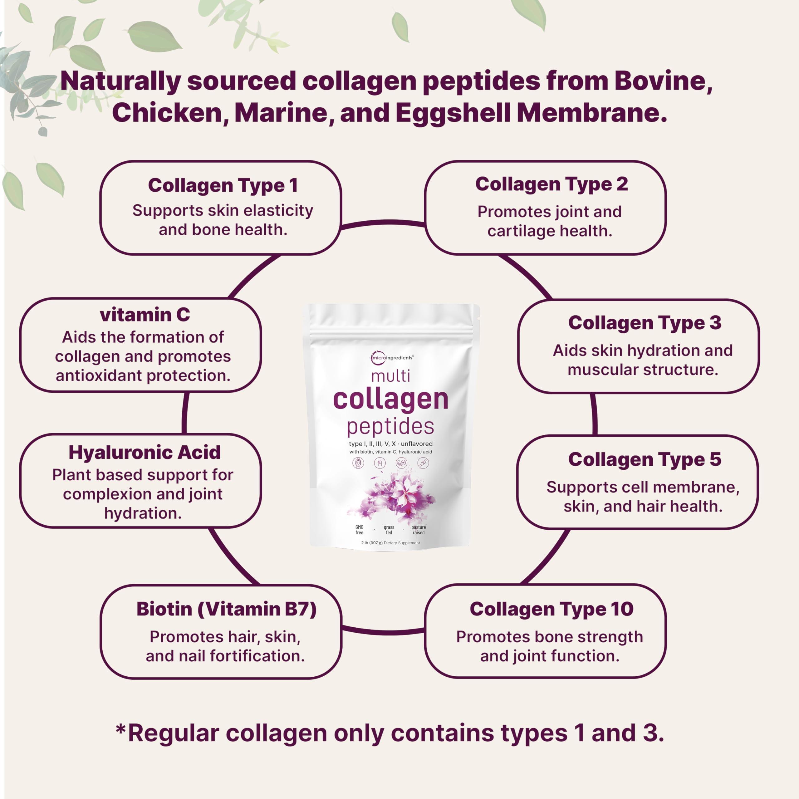Multi Collagen Protein Powder, 2lbs – Hydrolyzed Collagen Peptides | Type I,II,III,V,X with Biotin 10000mcg, Hyaluronic Acid, Vitamin C – Unflavored – Keto & Paleo Friendly, Easy Dissolve, Non-GMO - Image 3