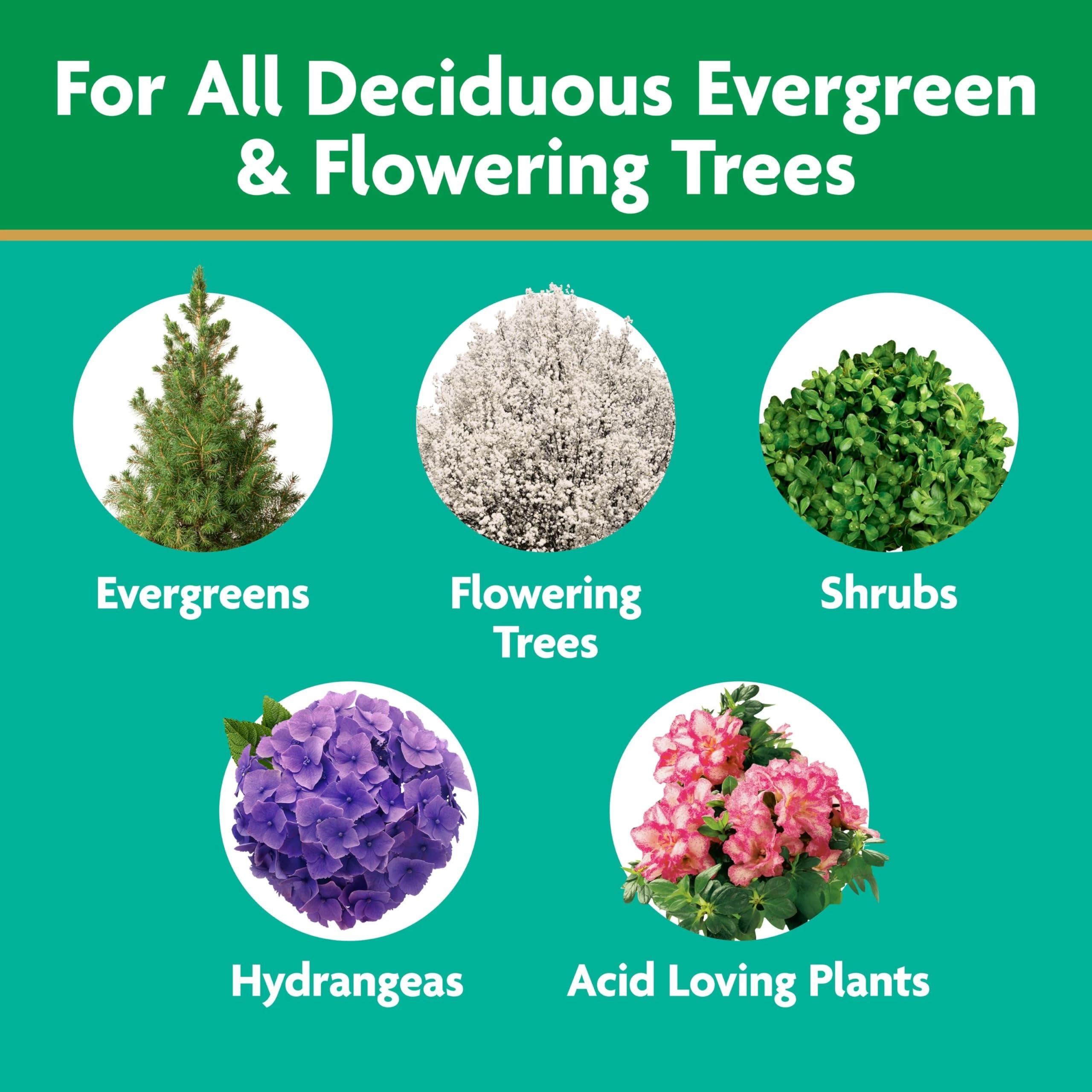 Miracle-Gro Tree and Shrub Plant Food Spikes, For Deciduous, Flowering and Evergreen Trees, Hydrangeas, and Acid-Loving Plants, 12 Spikes - Image 7