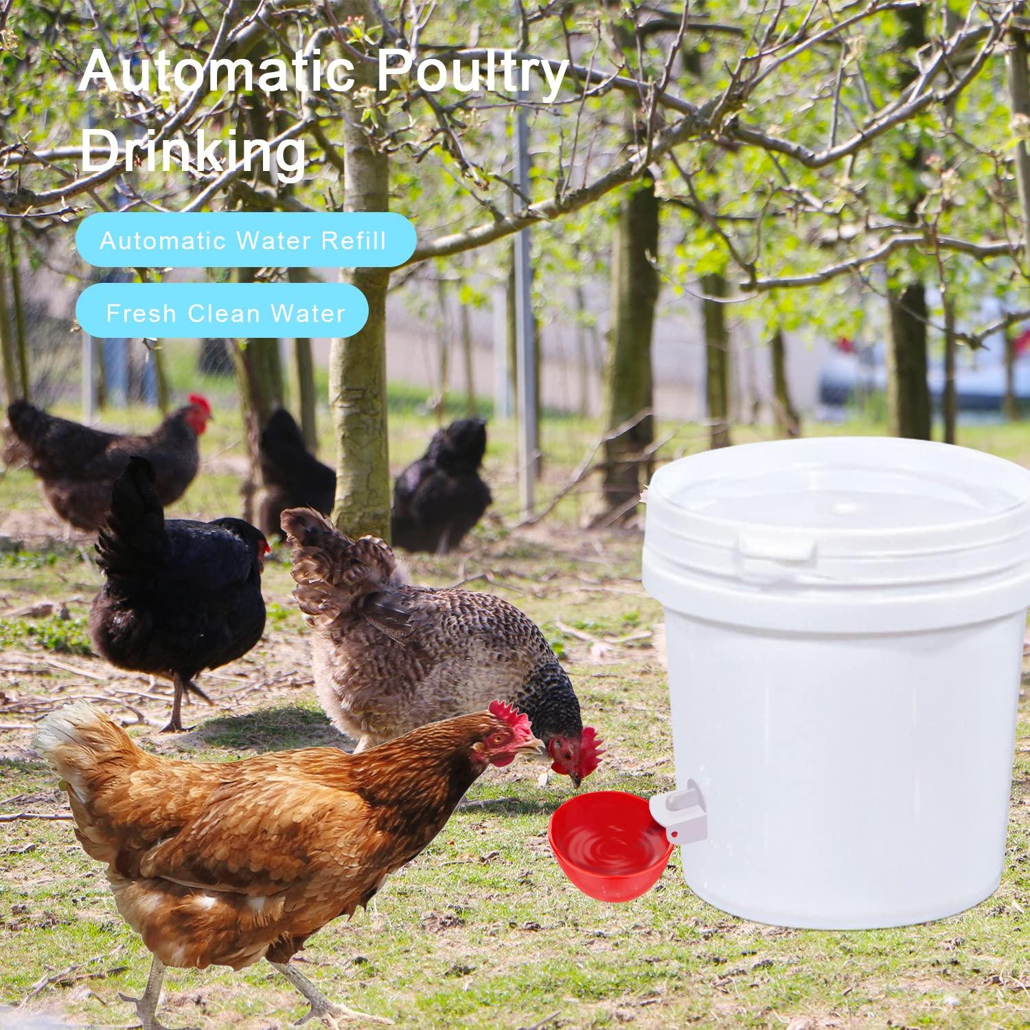 Darcvds Professional Chicken Waterer Cups, 8 Packs Large Chicken Water Feeder, Tee Fittings Poultry Waterer Suitable for Duck, Chicks, Goose, Turkey, Bunny and Bird with Mounting Hole Opener - Image 5