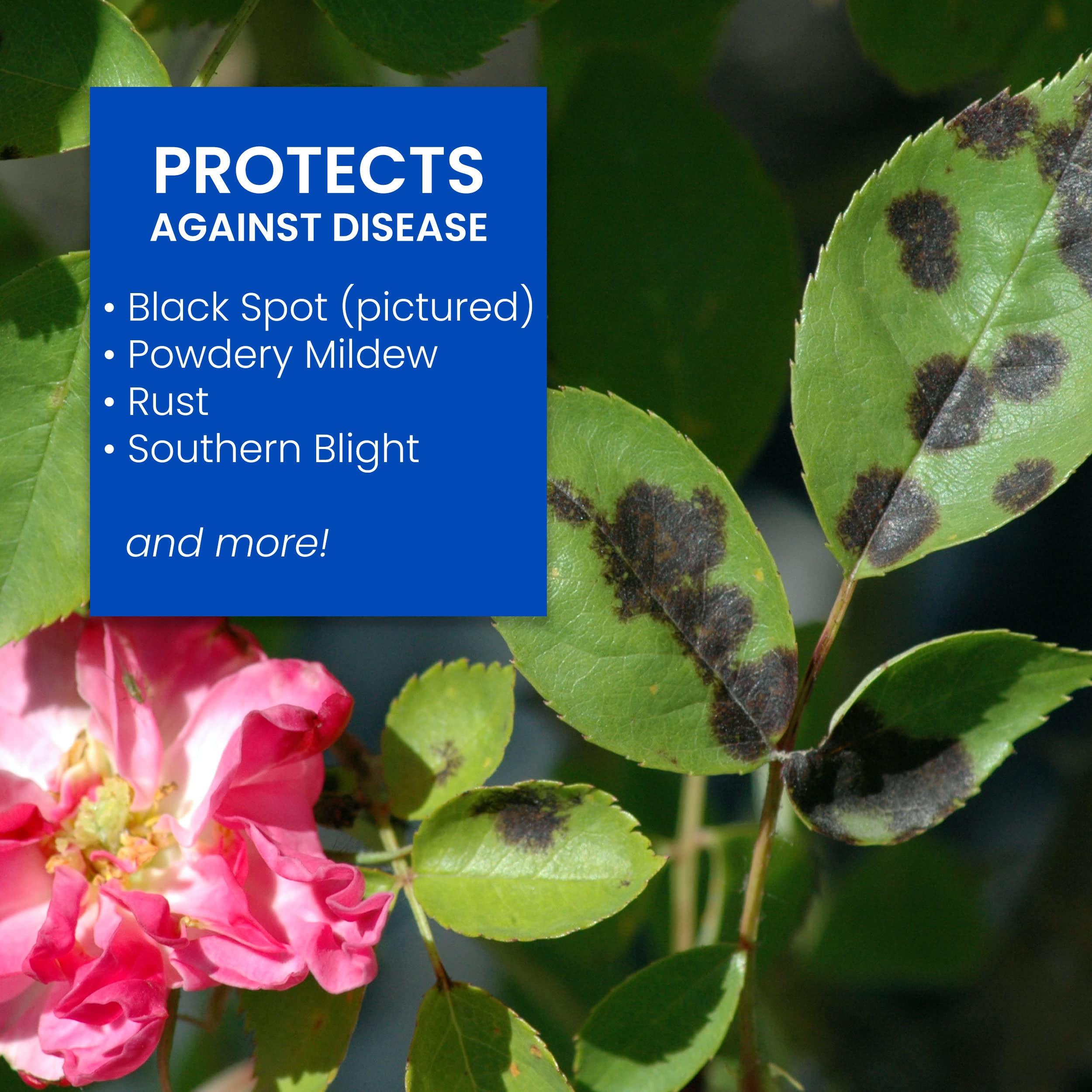 BioAdvanced All-In-One Rose and Flower Care I, Granules for Insects 4 lb - Image 4