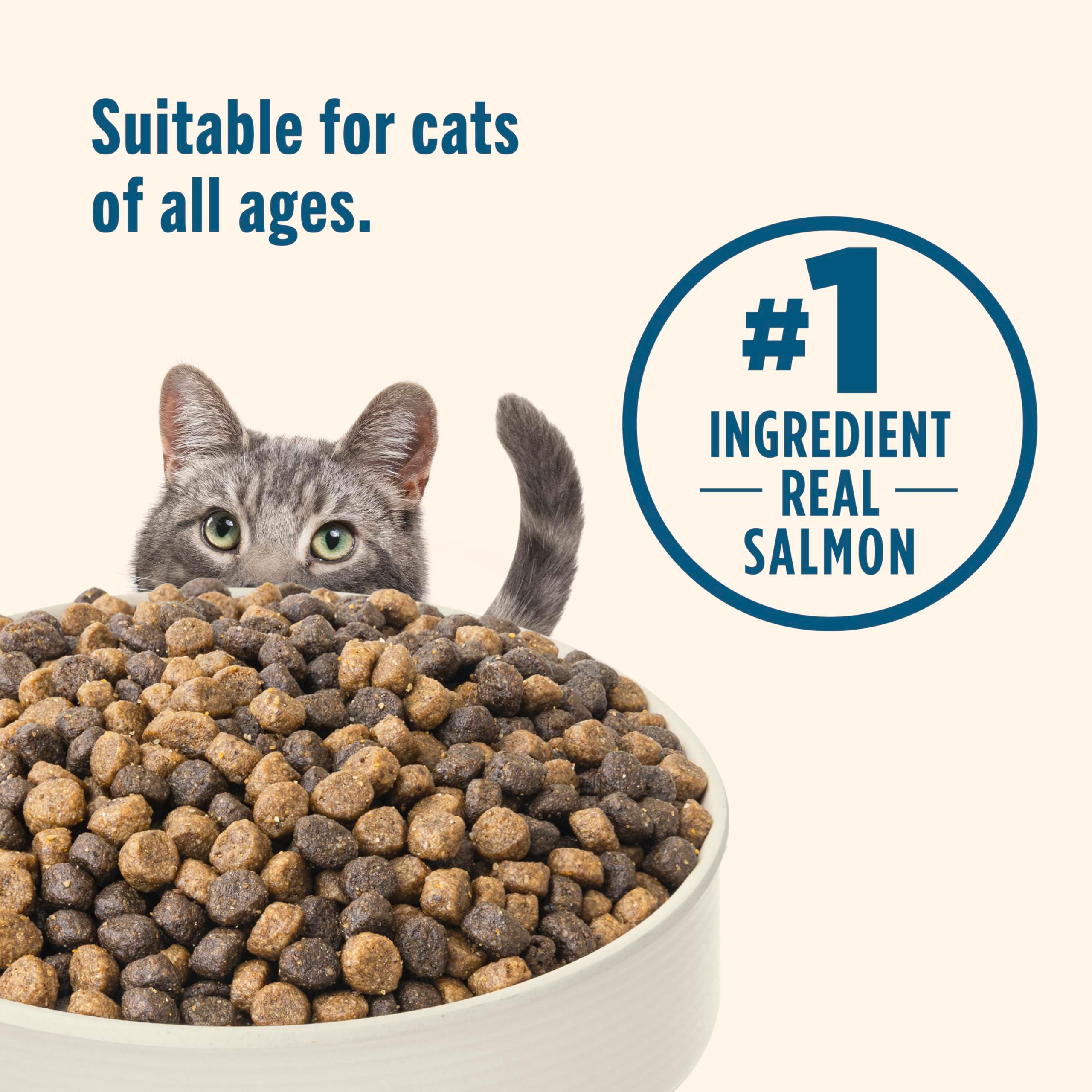 Nutrish Real Salmon & Brown Rice Recipe Dry Cat Food, 3 lb. Bag, Packaging May Vary (Rachael Ray) - Image 6
