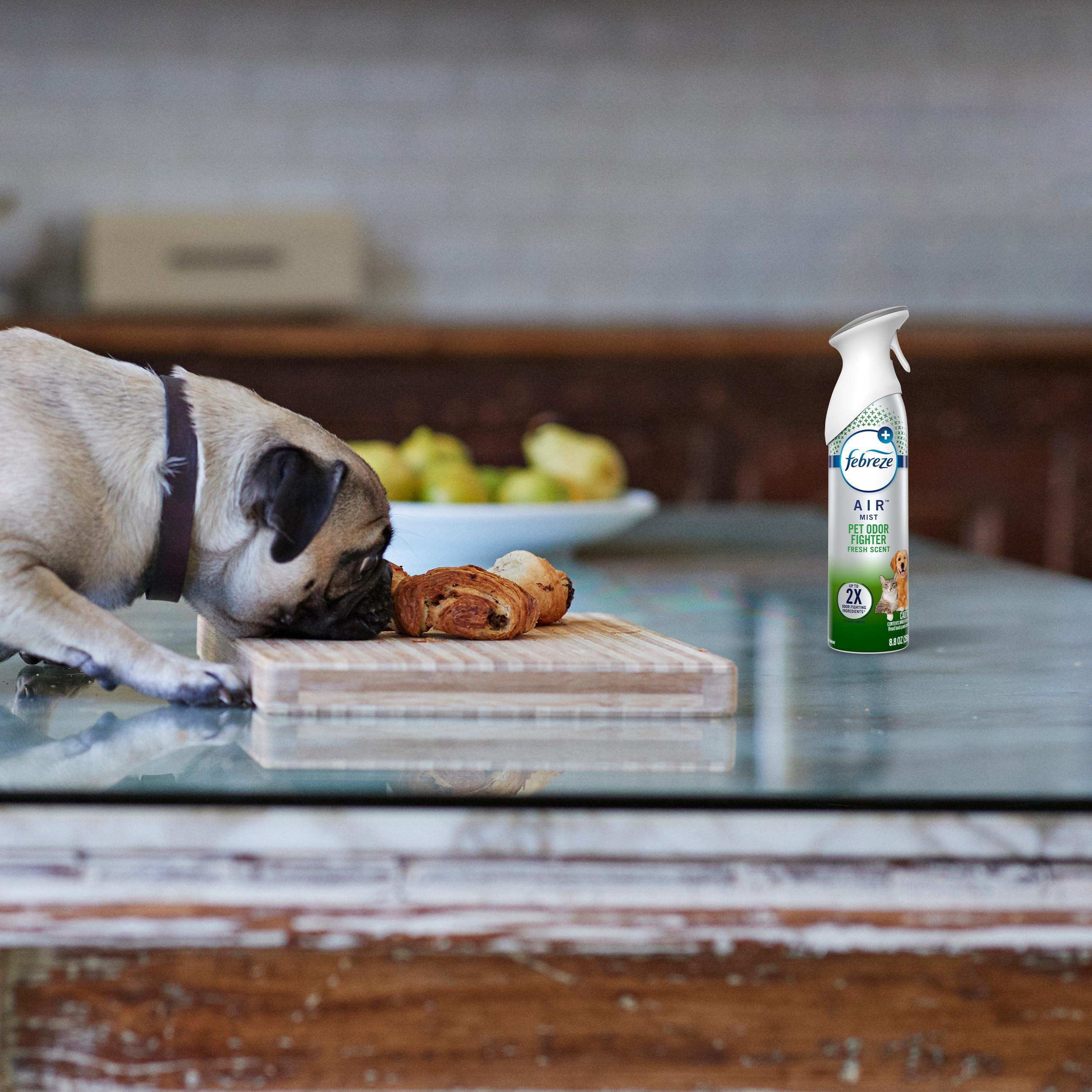 Febreze Air Mist Air Freshener Spray, Odor-Fighting Room Spray, Air Fresheners for Home and Bathroom and Kitchen, Aerosol Can, HD Pet Odor Fighter Scent, 8.8oz, 3 Count - Image 6