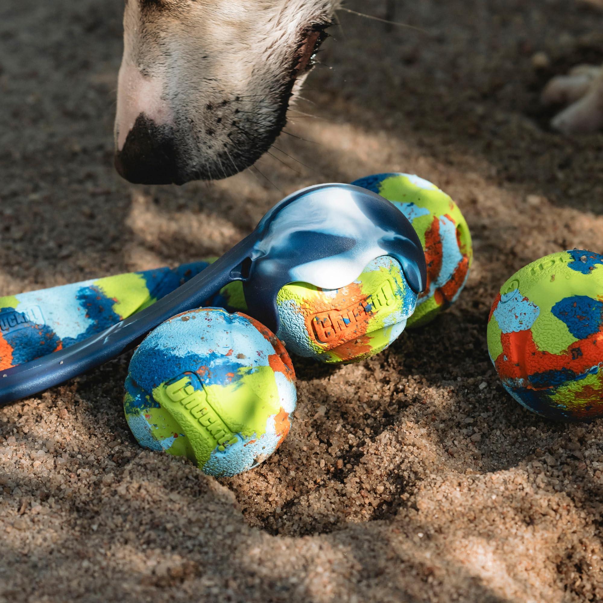 Chuckit! Limited Edition EcoFetch Ball Dog Toy, Medium (2.5 Inch Diameter) Pack of 3, for Breeds 20-60 lbs - Image 5