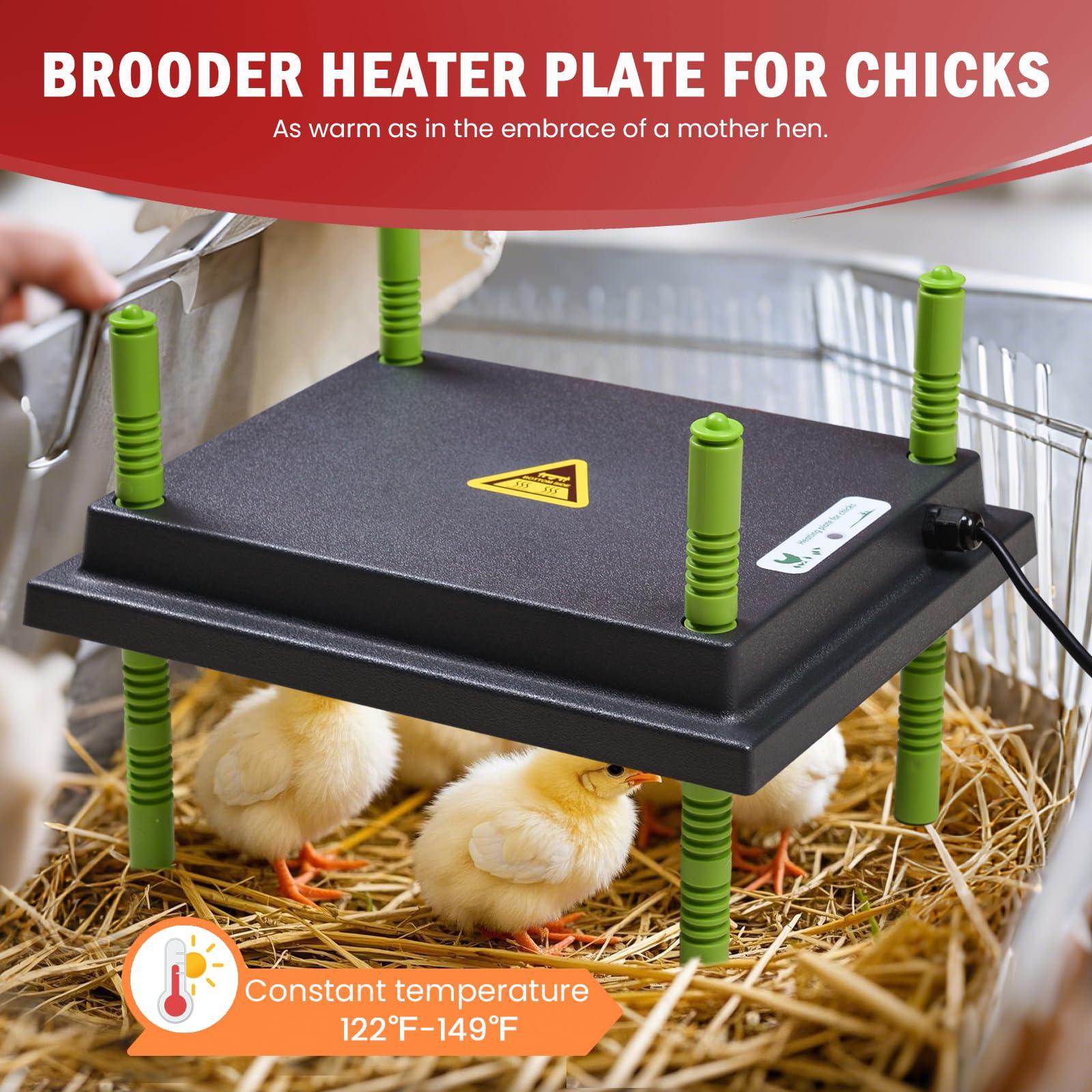 Tetuga Chicken Brooder Box for Chick Starter Kit - 10 * 12inch Brooder Heating Plate Chick Brooder Pen/Baby Chicken Brooder Box 4-in-1 Bundles with Chicken Feeder, Waterer (Brooder Set) - Image 4