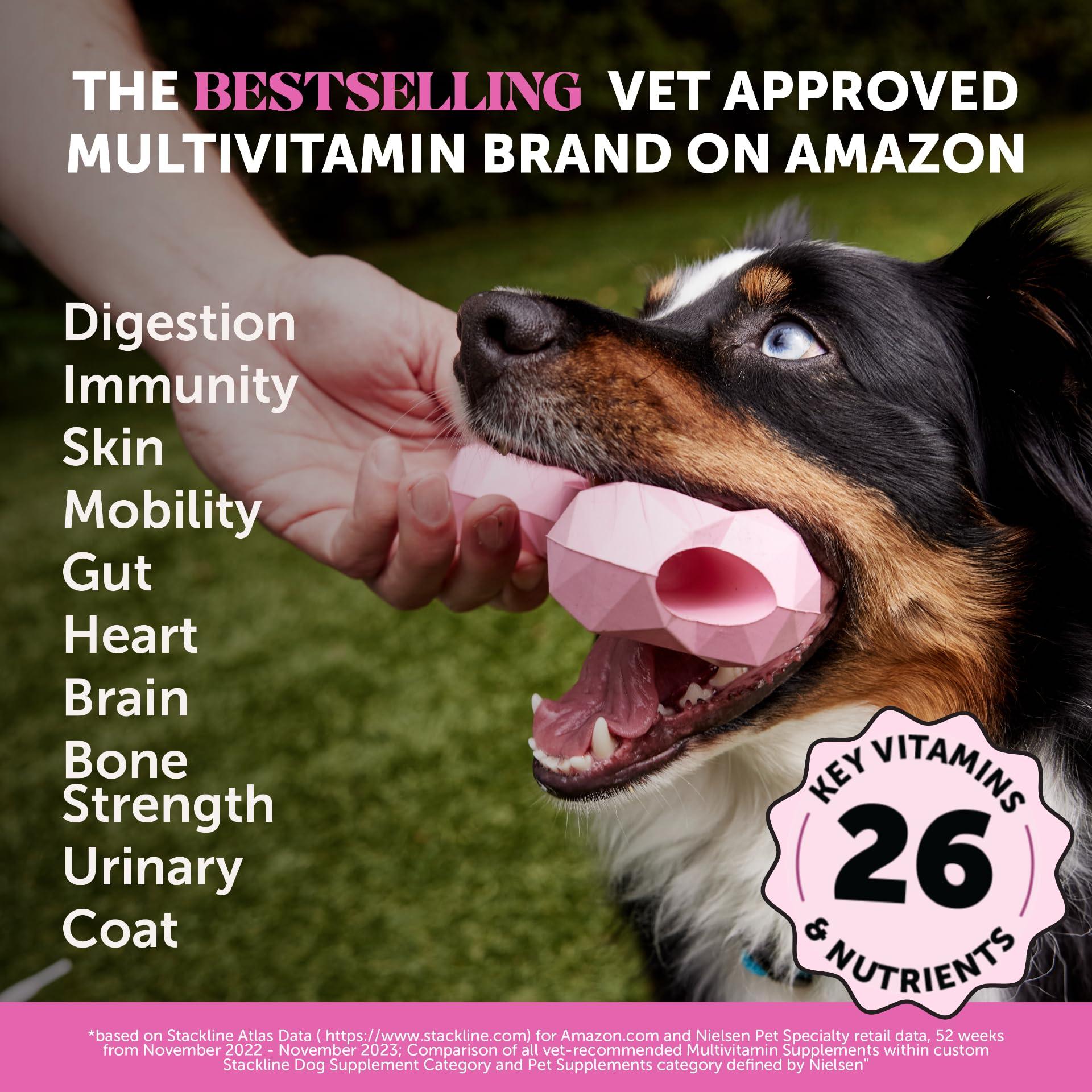 Multivitamin Dog Supplement, Glucosamine Chondroitin for Dogs, Probiotics, Omega Fish Oil, Dog Supplements & Vitamins, Vitamins for Skin and Coat Allergies (Chicken 90 ct) - Image 2