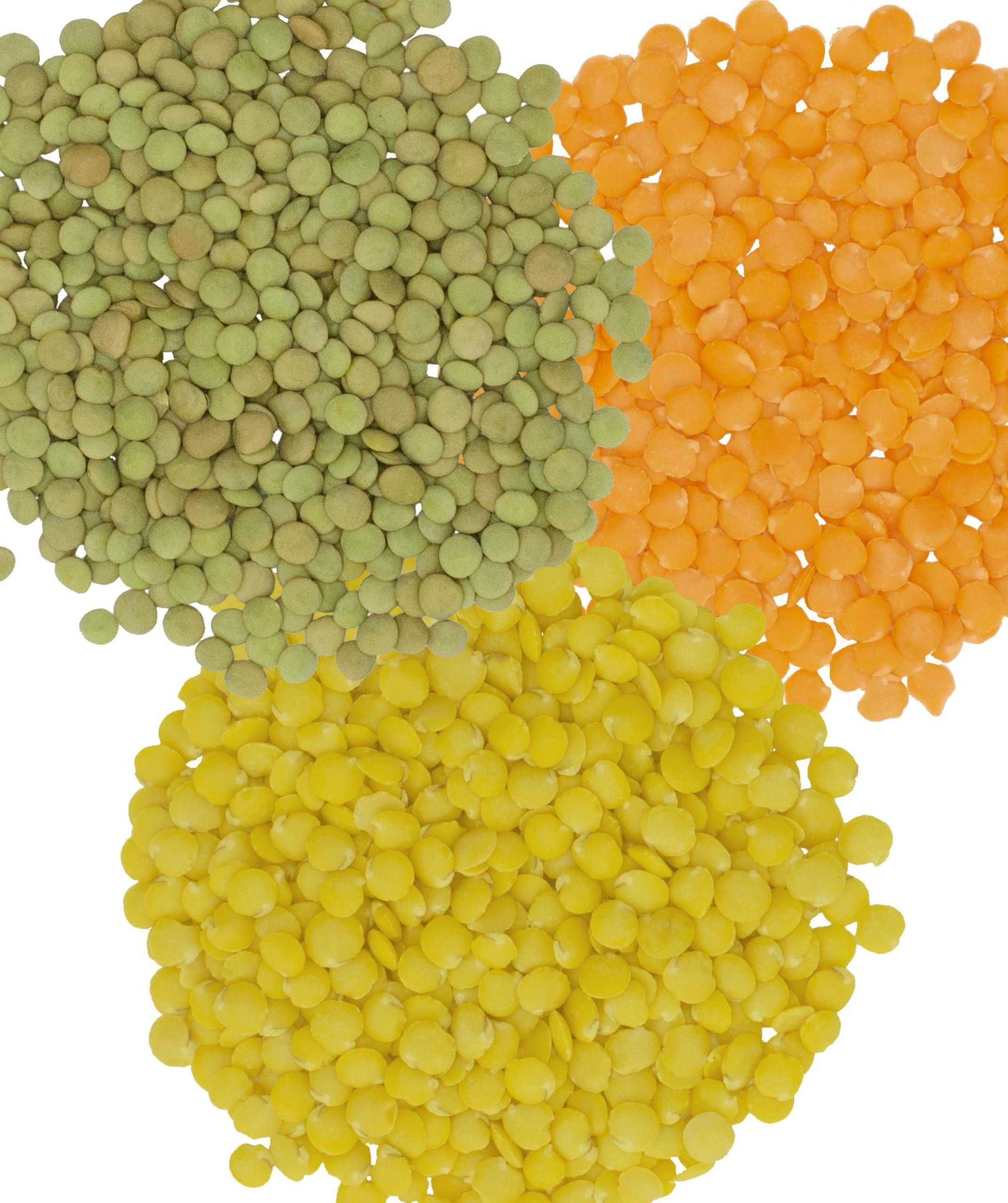 Red Lentils | Green Lentils | Golden Lentils | 12 LBS Total | Non-GMO | 100% Non Irradiated | Kosher | USA Grown | Vegan - Image 3