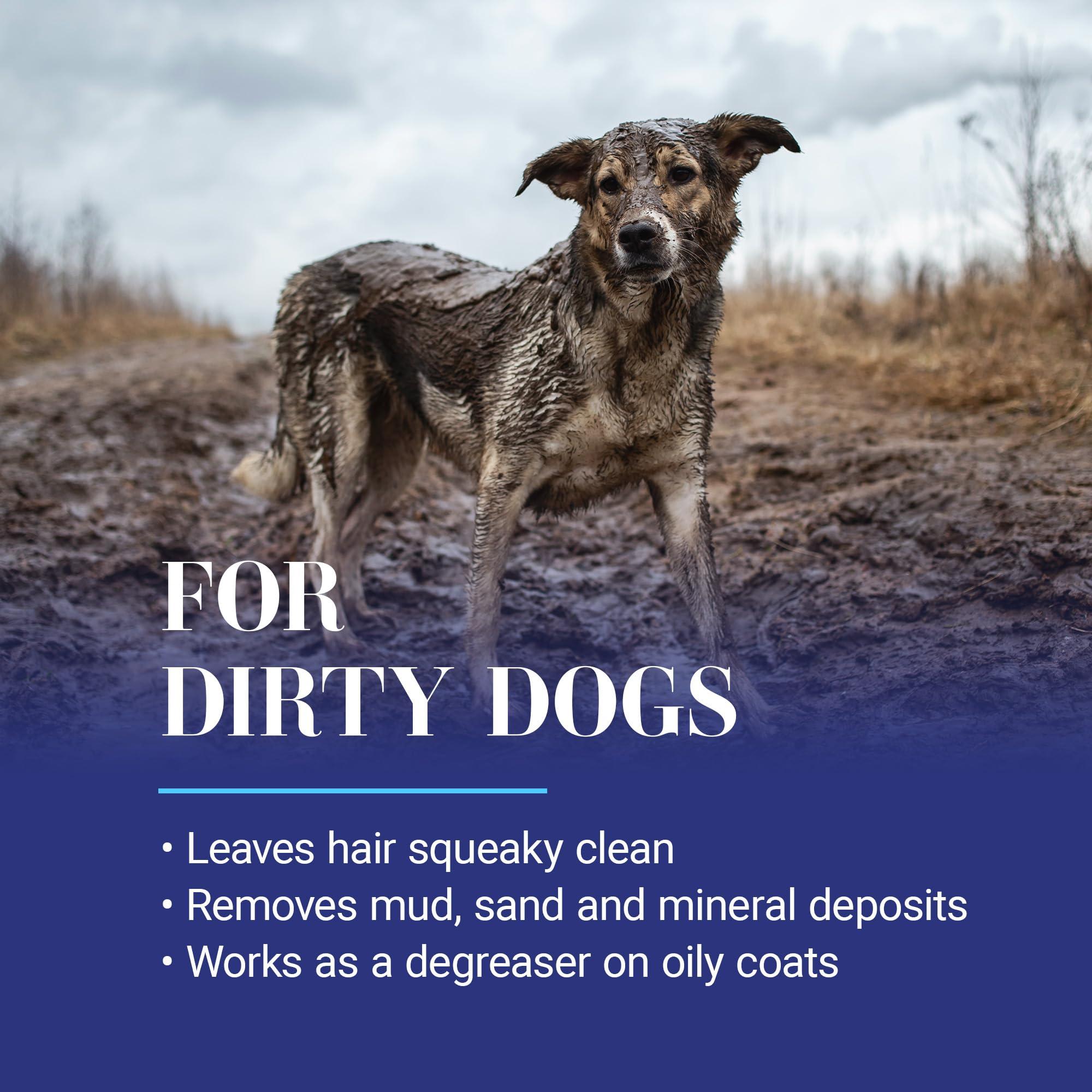 Chris Christensen Clean Start Dog Shampoo, Groom Like a Professional, Pro-Vitamin Deep Cleansing Formula, Preserves Natural Oils, Removes Build Up from Other conditioners, All Coat Types, Made in USA - Image 4