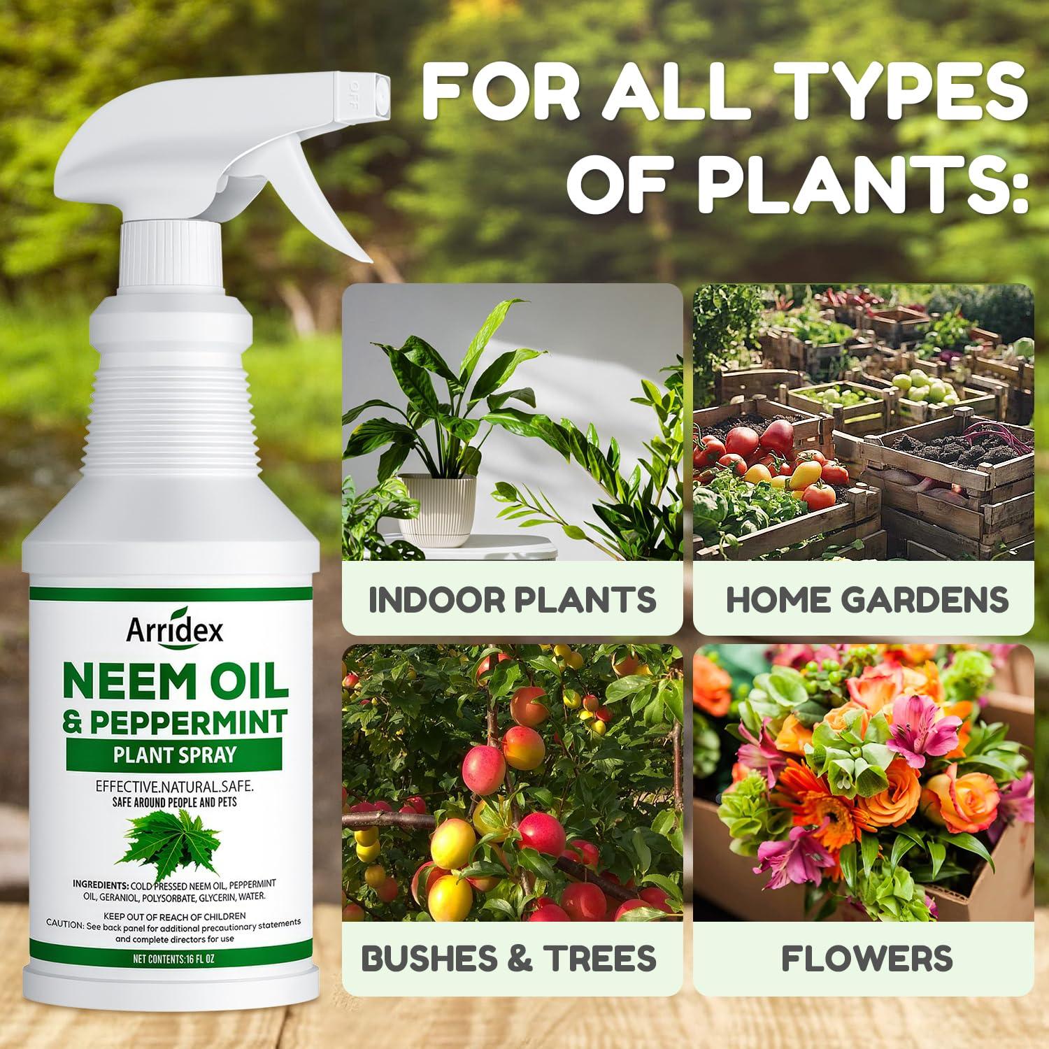 Neem Oil Spray for Plants with Peppermint Oil, Natural Neem Oil Spray for Indoor and Outdoor Plants, Suitable for Organic Gardening (16oz, Pet Safe, Non Toxic) - Image 3