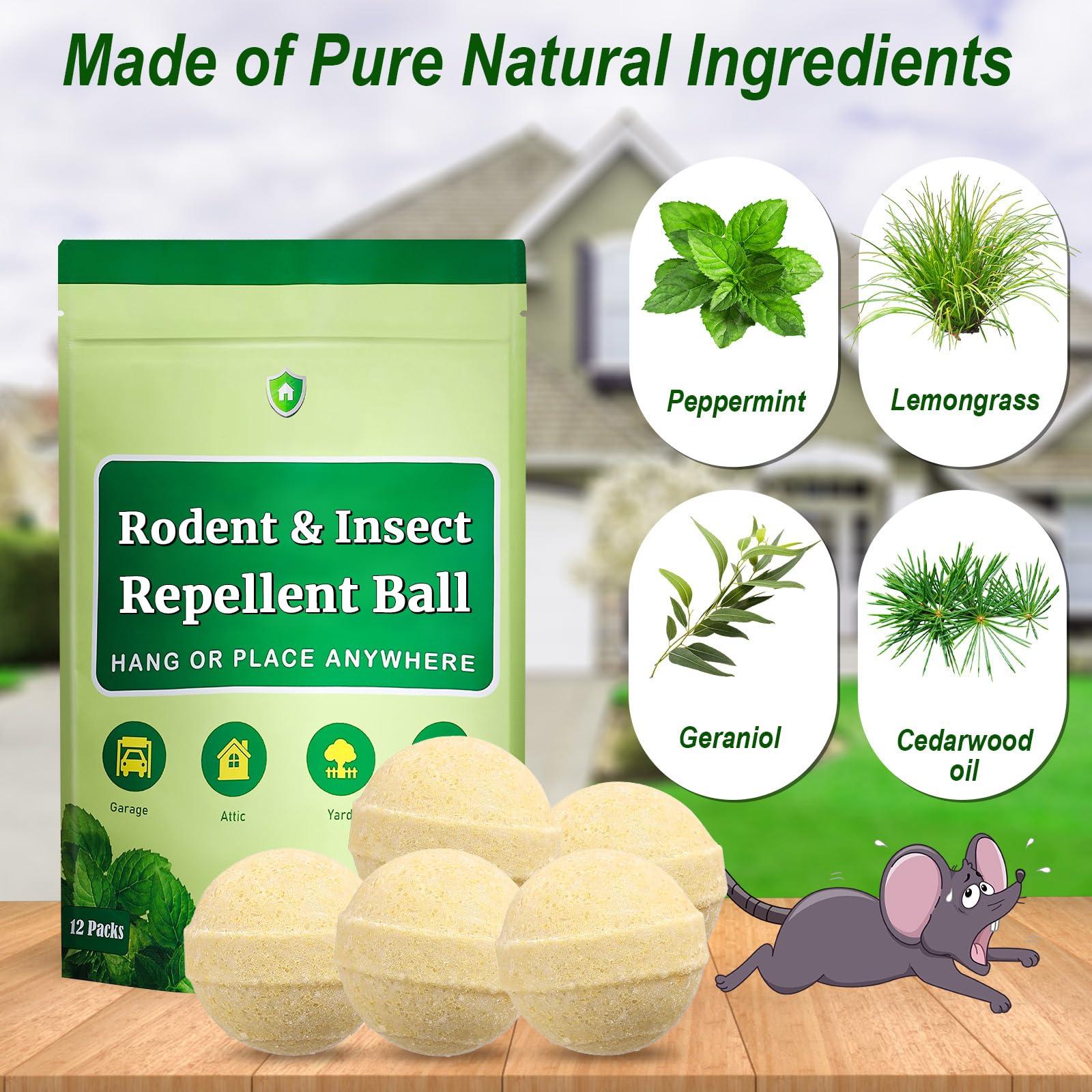 Rodent and Insect Repellent Balls, Squirrel Rat Repellent for Outdoor and Indoor, Peppermint to Repel Mice and Rats, Rodent and Mouse Deterrent for House, Garden, Attic, 12 Packs - Image 2