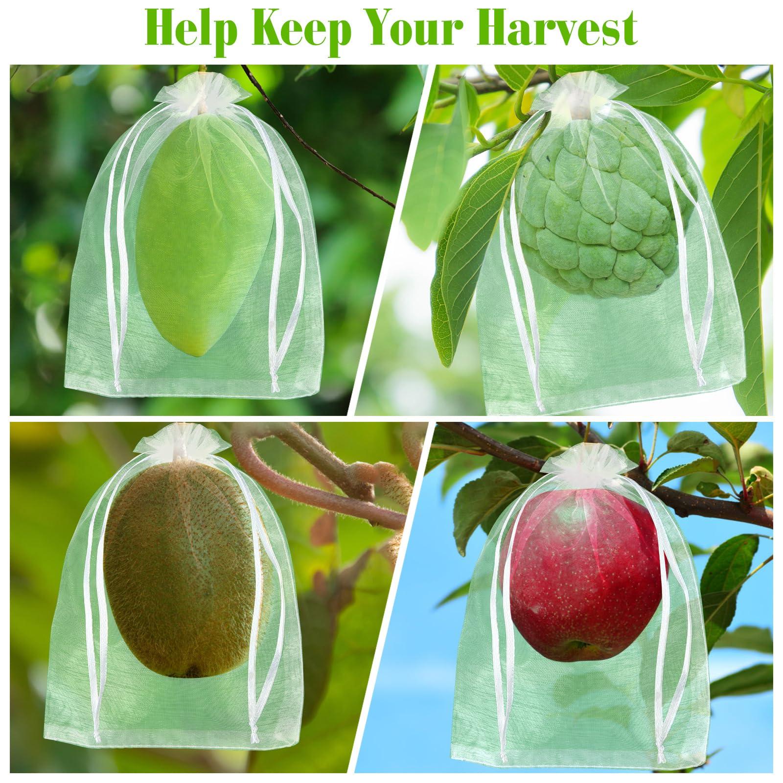 Morcheiong 60pcs Reusable Netting Mesh Bags - 6" x 8", Garden Fruit Protection with Drawstring (White) - Image 6