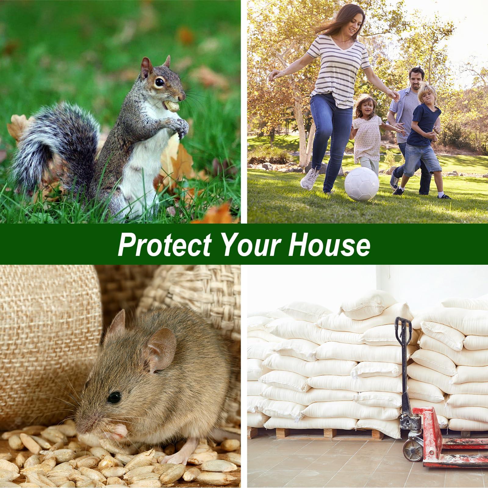 Rodent and Insect Repellent Balls, Squirrel Rat Repellent for Outdoor and Indoor, Peppermint to Repel Mice and Rats, Rodent and Mouse Deterrent for House, Garden, Attic, 12 Packs - Image 6