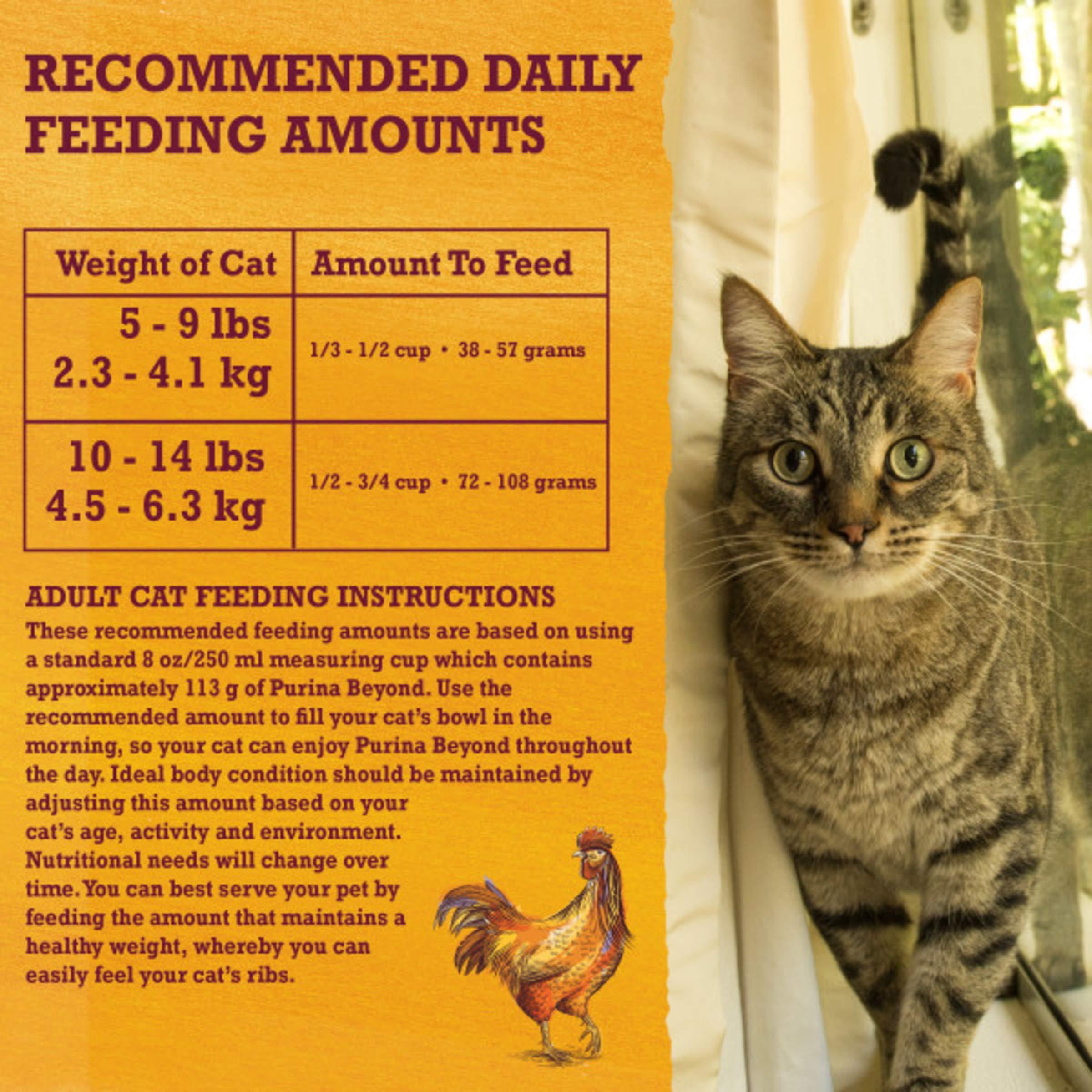 Purina Beyond Grain Free White Meat Chicken and Egg Recipe Natural Cat Food High Protein Cat Food Dry Formula - 5 lb. Bag - Image 11