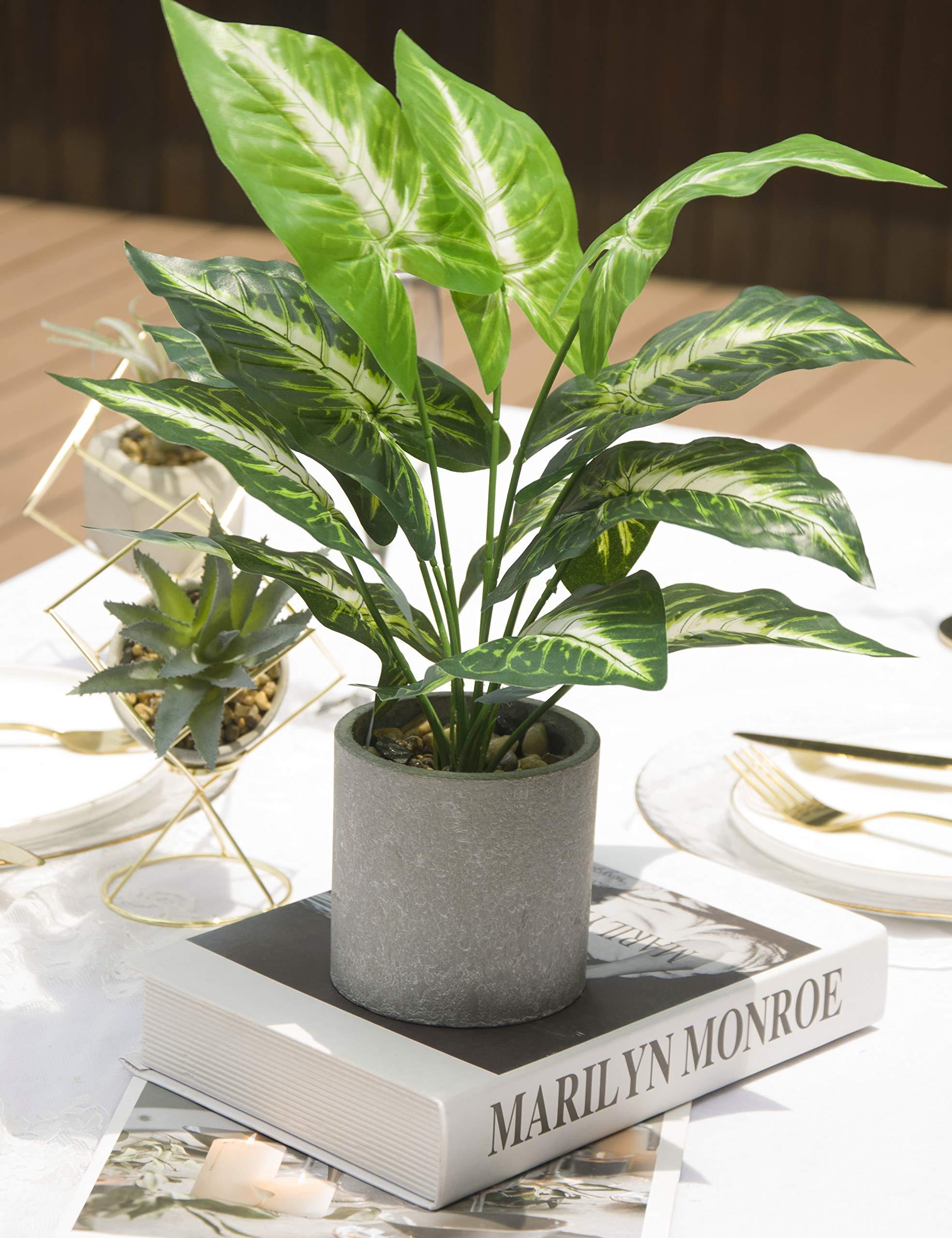JC nateva 16" Small Fake Plants Artificial Tropical Faux Plants Indoor for Office Desk Shelf Bathroom Home Decor - Image 5