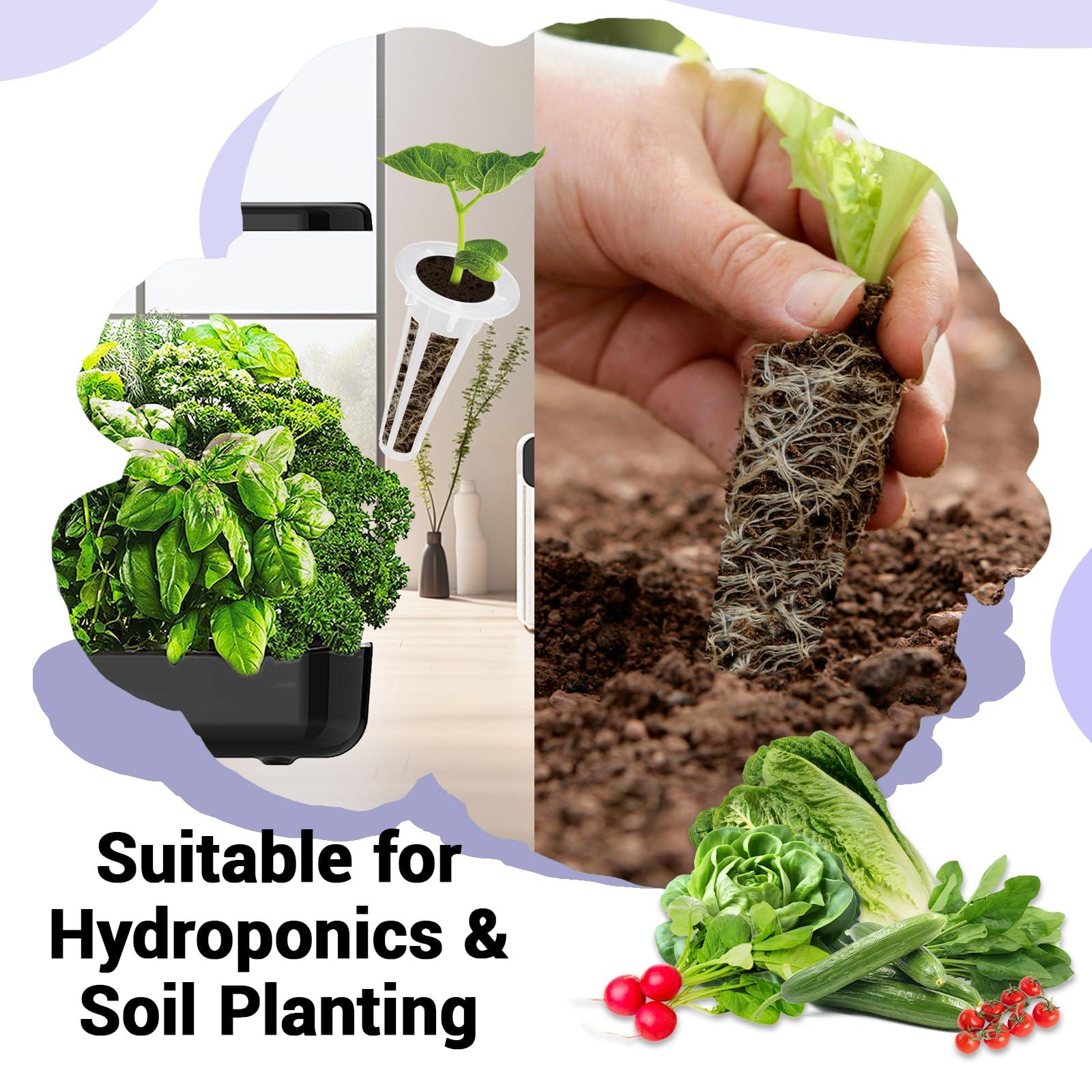 Salad Seed Pods, Grow Anything Kit for All Hydroponics Growing Systems, 8 Pods with 600+ Seeds of Red Cherry Tomato, Butter Head, Romaine, Spinach, Mini Cucumber and Radish - Image 6