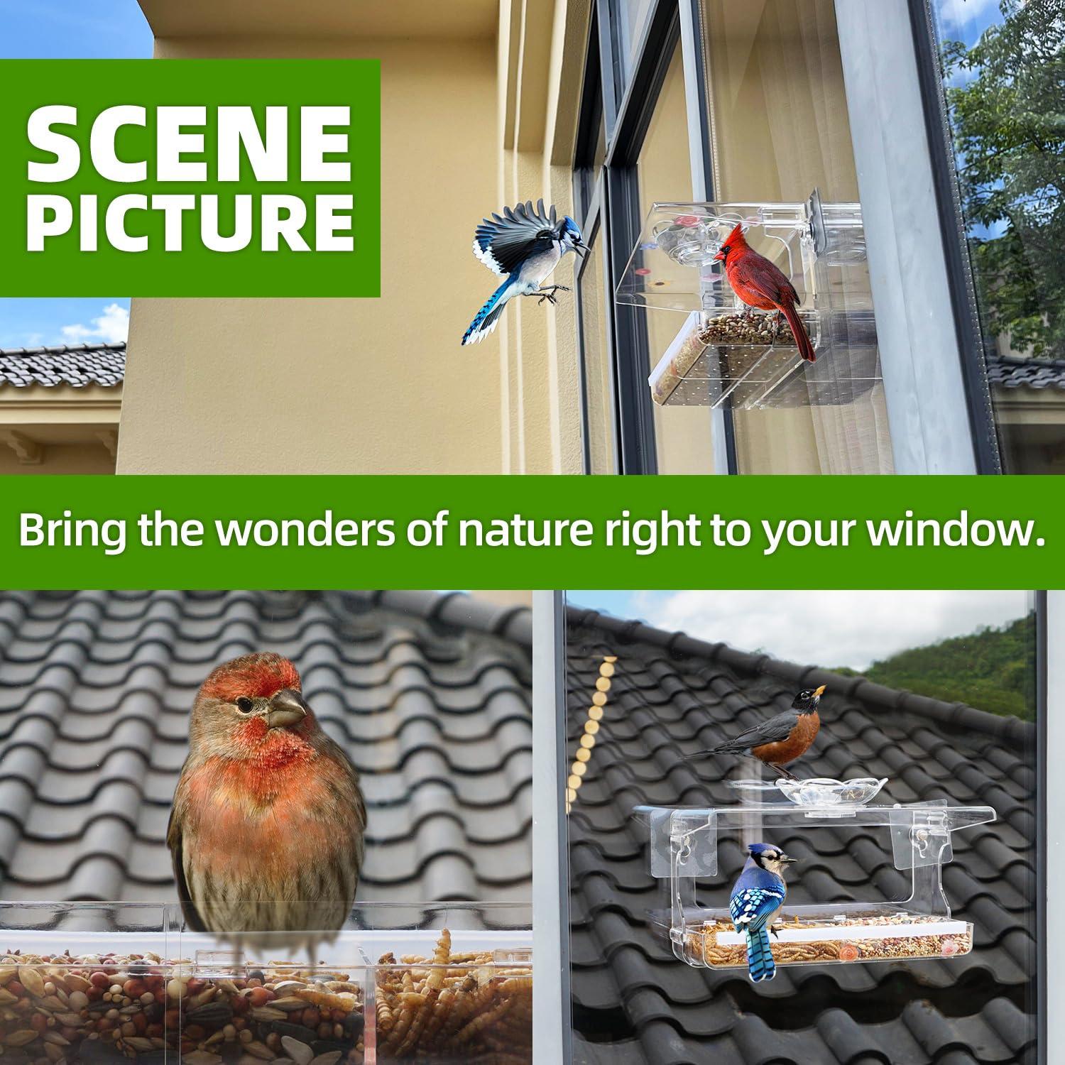 WENMIXER Window Bird Feeder with Non-Marking Self-Adhesive Hooks, Clear and Transparent, Outdoor Wild Bird Watching Gift, Garden Decor - Image 6