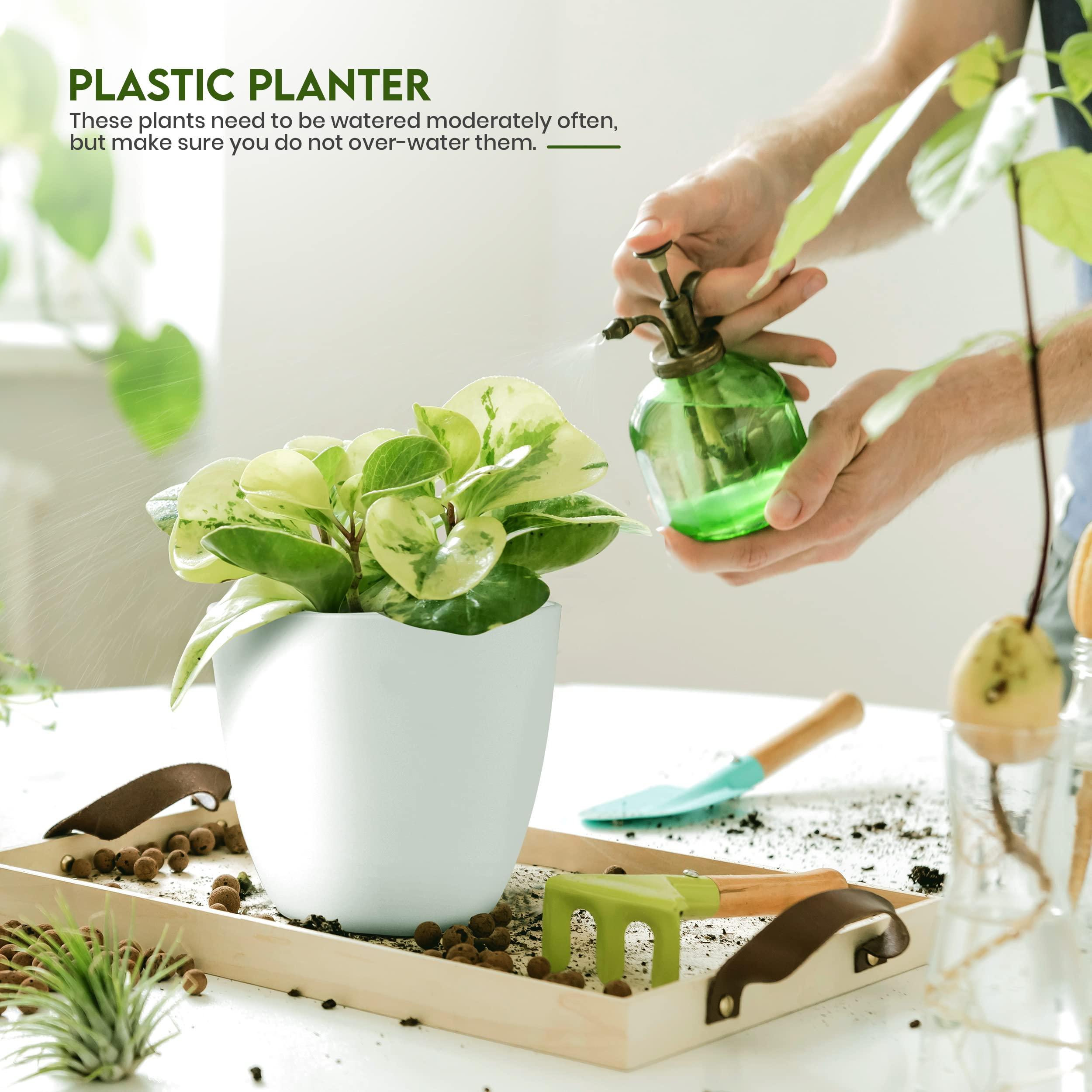 Utopia Home - Plant Pots Indoor with Drainage - 7/6.6/6/5.3/4.8 Inches Garden Flower Pots for Indoor Planter - 5 Pack White Plastic Planters - Ideal for Stocking Stuffers or Room, Office Home Decor - Image 5
