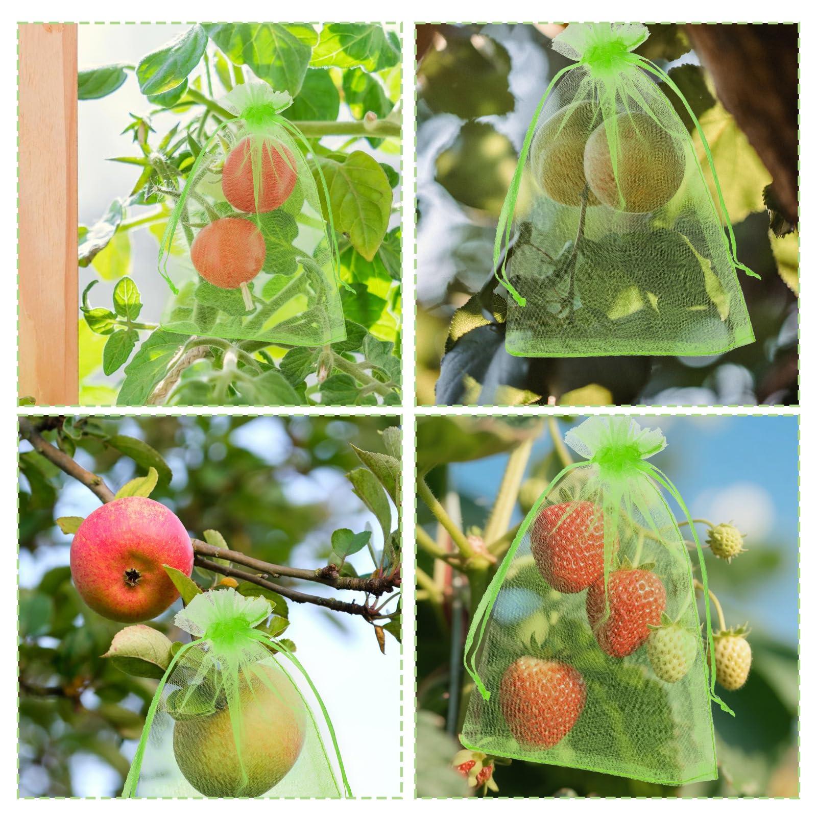 100 Pcs Fruit Protection Bags 4x6 Inch Green Strawberry Netting Cover Drawstring Mesh Bags Fruits Protectors Pest Barrier for Tomato Mango Blueberry Fruits Trees Veggies Garden Small Fruit - Image 6