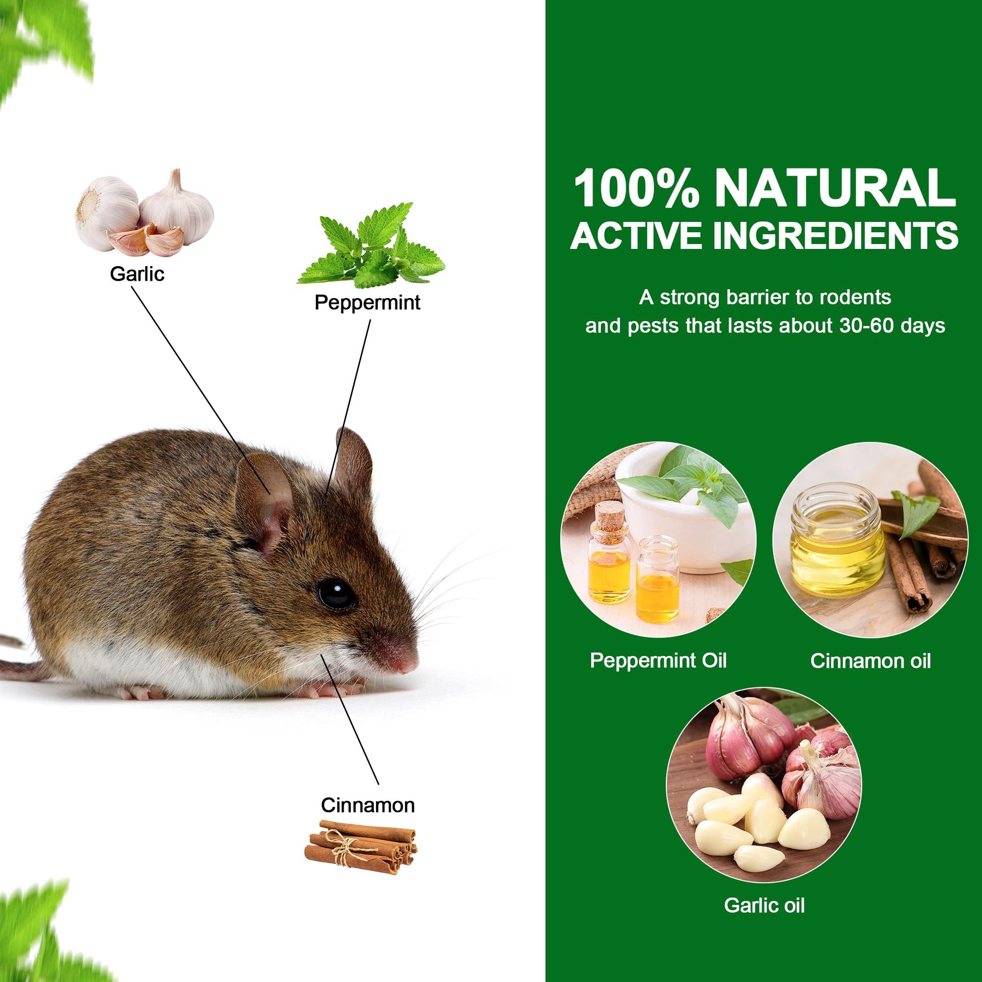 10 Pack Peppermint Oils Mouse Repellent Pouches - Effective Rat Repellent, Peppermint Oil to Keep Rodents Out of Car Engines, Home, Garage, Warehouse, Natural Ingredients - Image 2