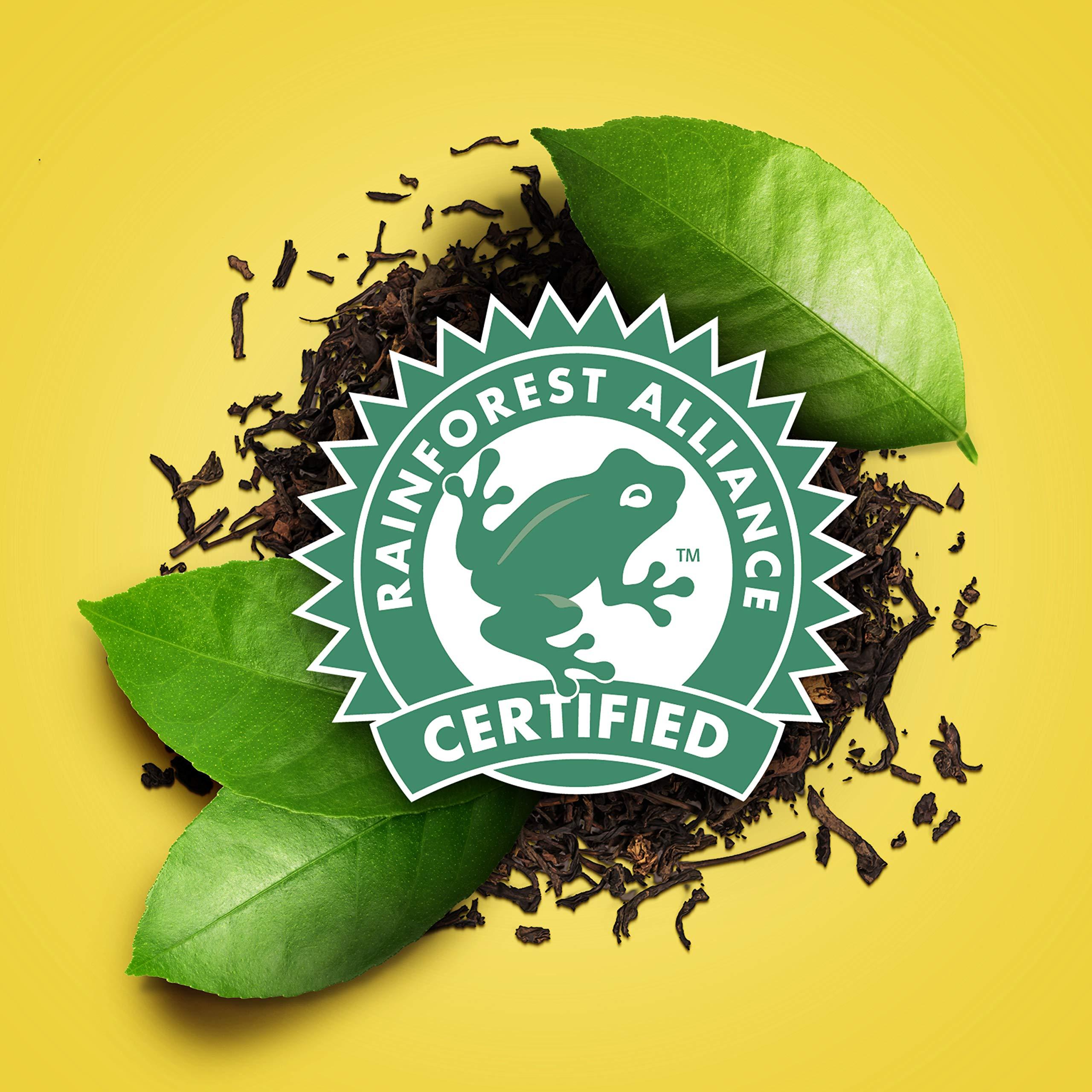 Lipton Tea Bags For a Delicious Beverage Decaffeinated Black Tea Caffeine-Free and Made With Real Tea Leaves 75 Tea Bags - Image 10