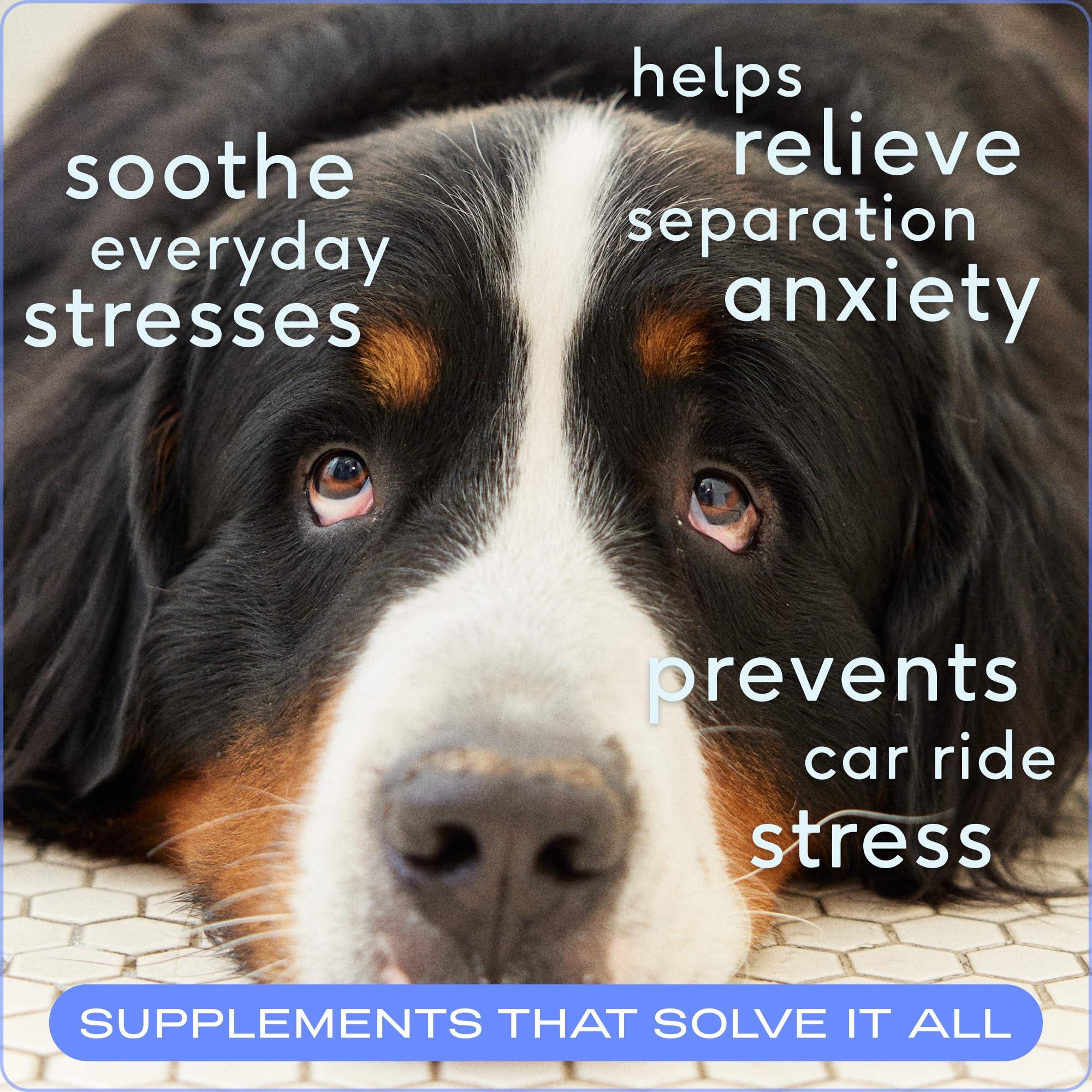 Native Pet Calming Chews for Dogs - Melatonin for Dogs Anxiety Relief - Grain Free All Natural Hemp Calming Treats & L-Theanine Helps Manage Stress & Separation Anxiety - Puppy Sleep Aid - 60 Chews - Image 2