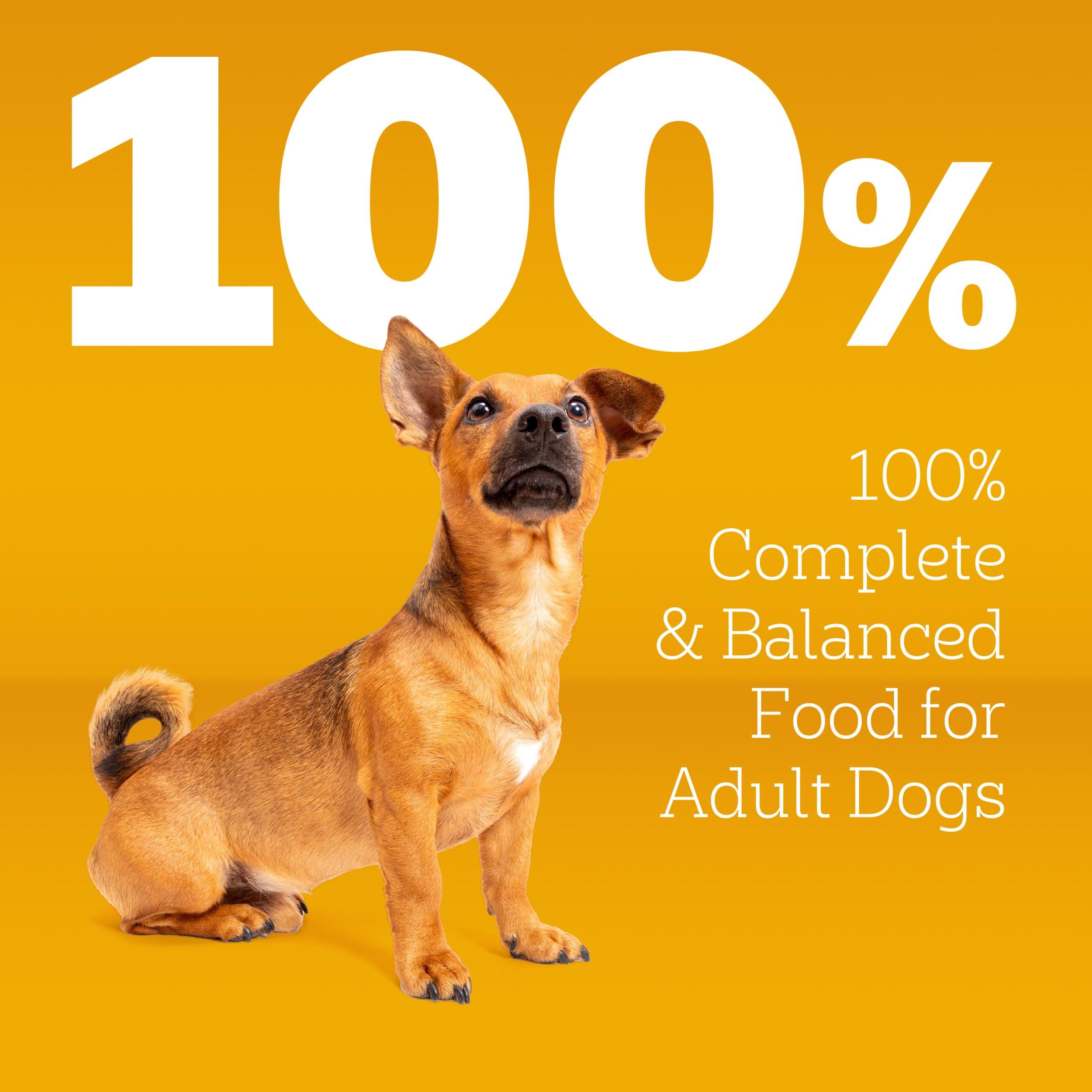 Pedigree Complete Nutrition Adult Small Dog Dry Dog Food, Grilled Steak & Vegetable Flavor, 14 lb. Bag - Image 12