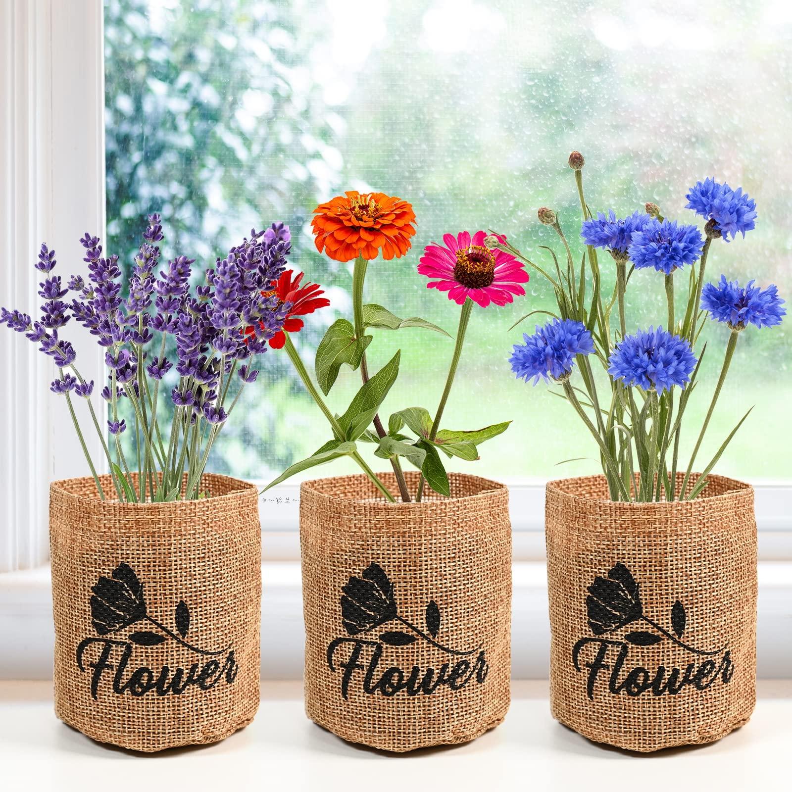 Indoor Daisy Garden Starter Kit with Gardening Tools - Jute Bags, Markers, Soil Disks and Shears, Home Gardening Gifts for Women Men Plant Lovers - Image 5