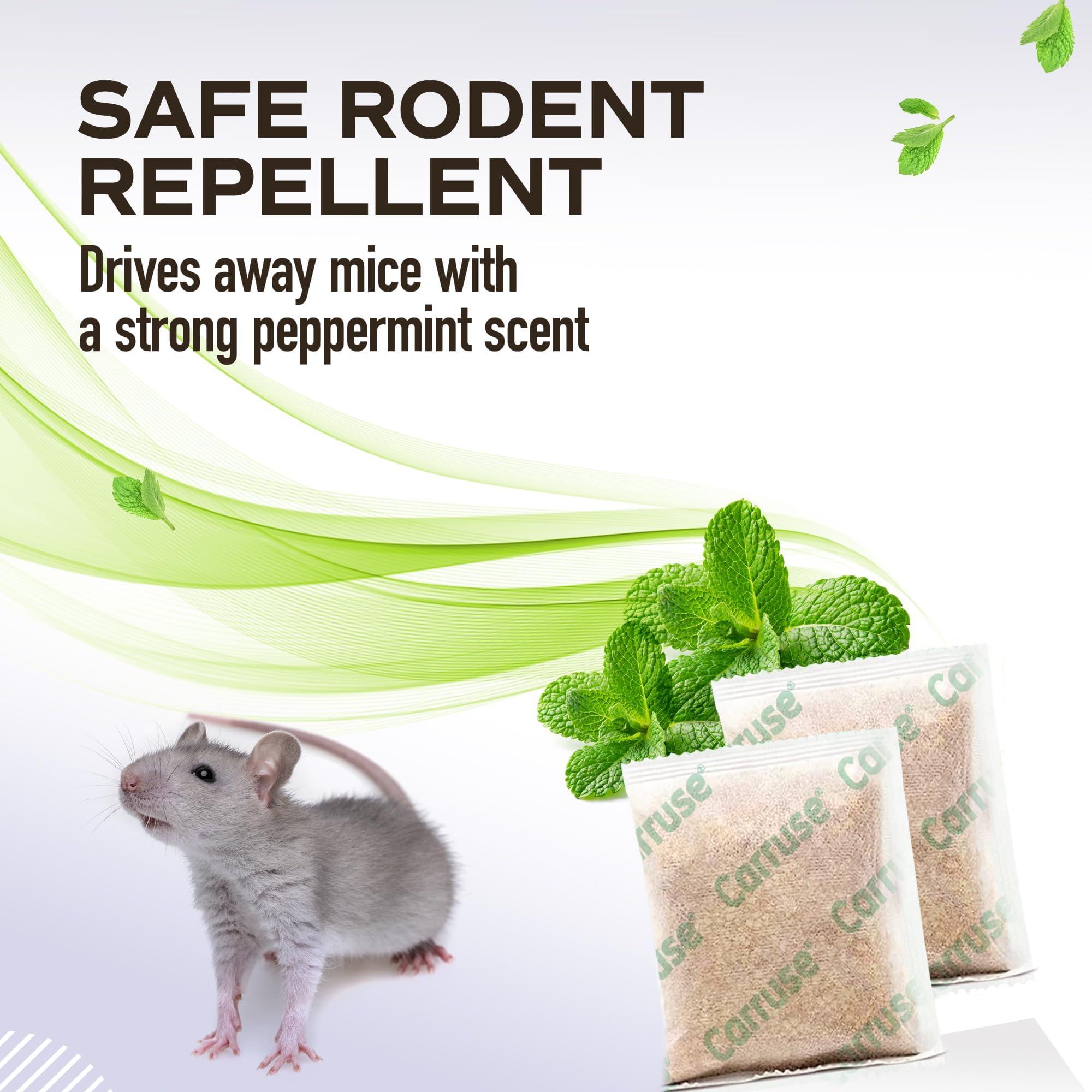 Mouse Rodent Repellent Peppermint Oils: Rate/Spiders/Moths/Ants/Roaches/Silverfish Deterrent - Squirrel Repellent - Car Engines/RV/Truck/Boat/Garage/Shed/Cabin - Indoor Mice Repellent Pouches - Image 9