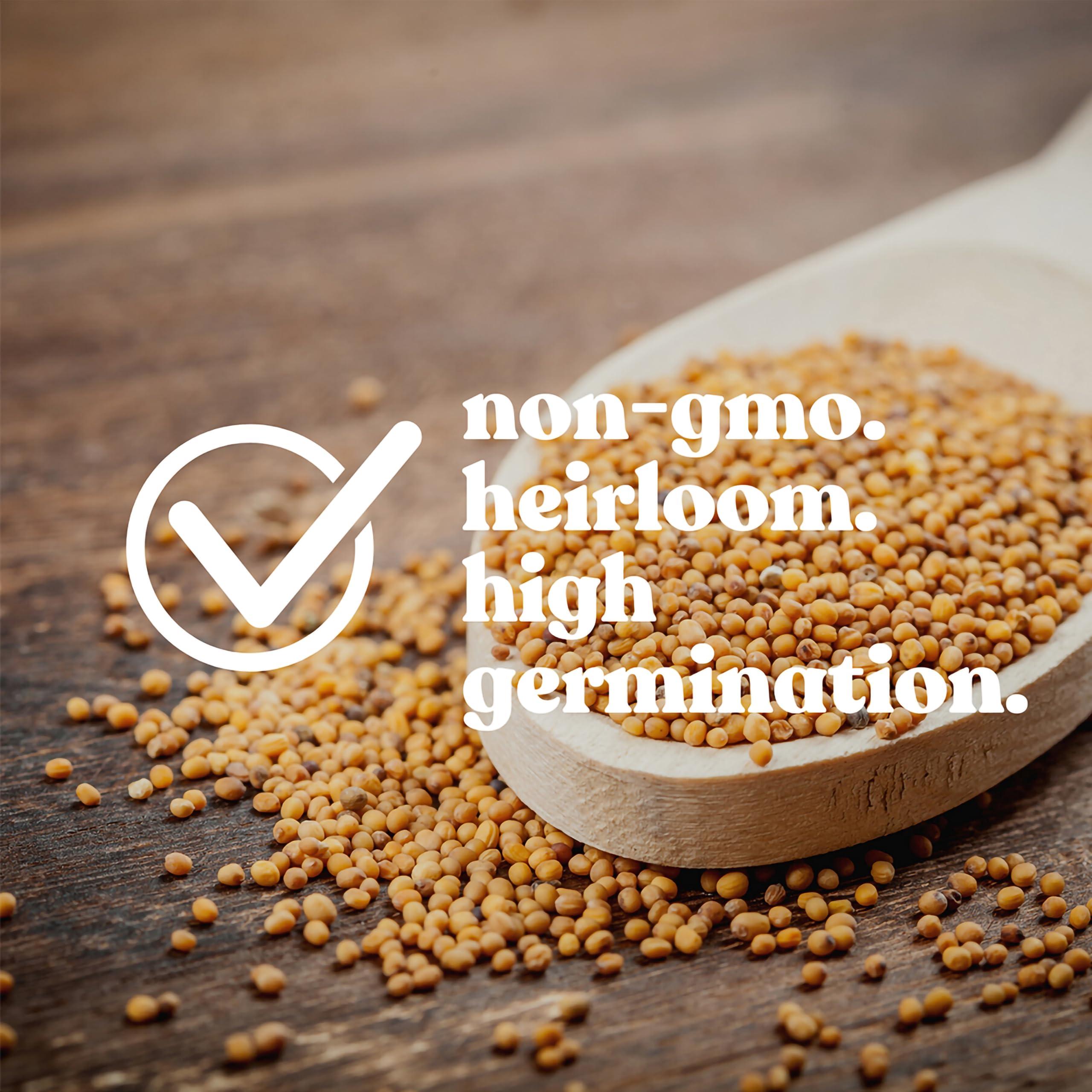 25 Lb Bulk Non-GMO Organic Whole Oat Groats (w/Husk) - Gluten Free Organic Oats - Whole Oats Organic for Sprouts, Steel Cut Oats Organic, Oat Berries, Oat Flour Organic, Oat Rice, and Livestock Feed - Image 3