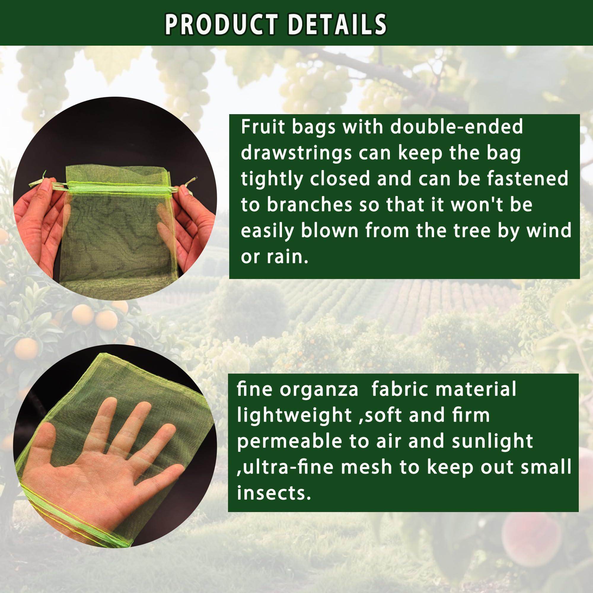 DMIMIA Fruit Protection Bags 100 pcs, Reusable Mesh Bags for Fruit Trees 3-Size, Breathable Covers to Protect Fruits from Pests & BirdsGreen - Image 4