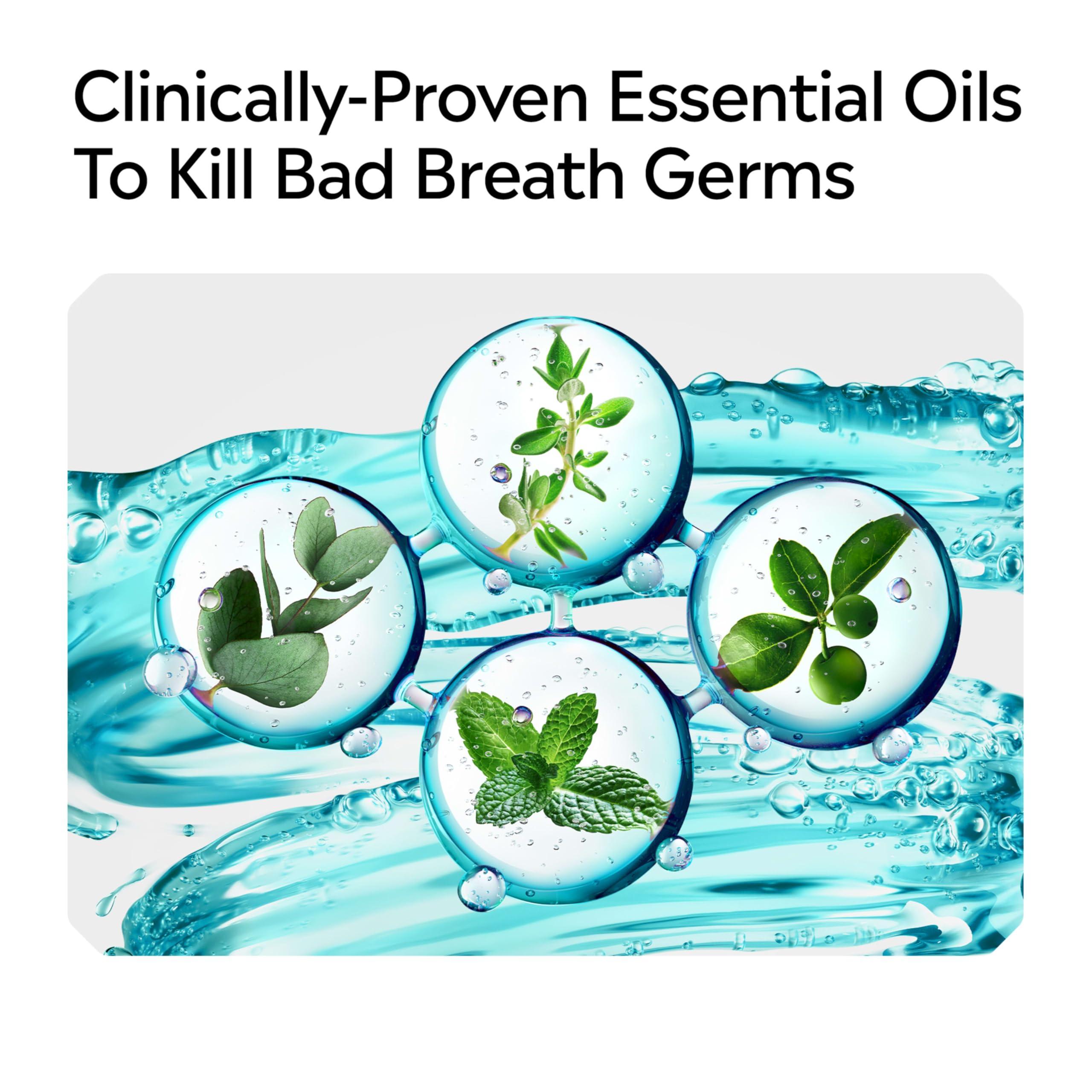 Listerine Cool Mint Antiseptic Mouthwash, Daily Oral Rinse Kills 99% of Germs That Cause Bad Breath, Plaque and Gingivitis for a Fresher, Cleaner Mouth, Cool Mint Flavor, 1.0 L - Image 6