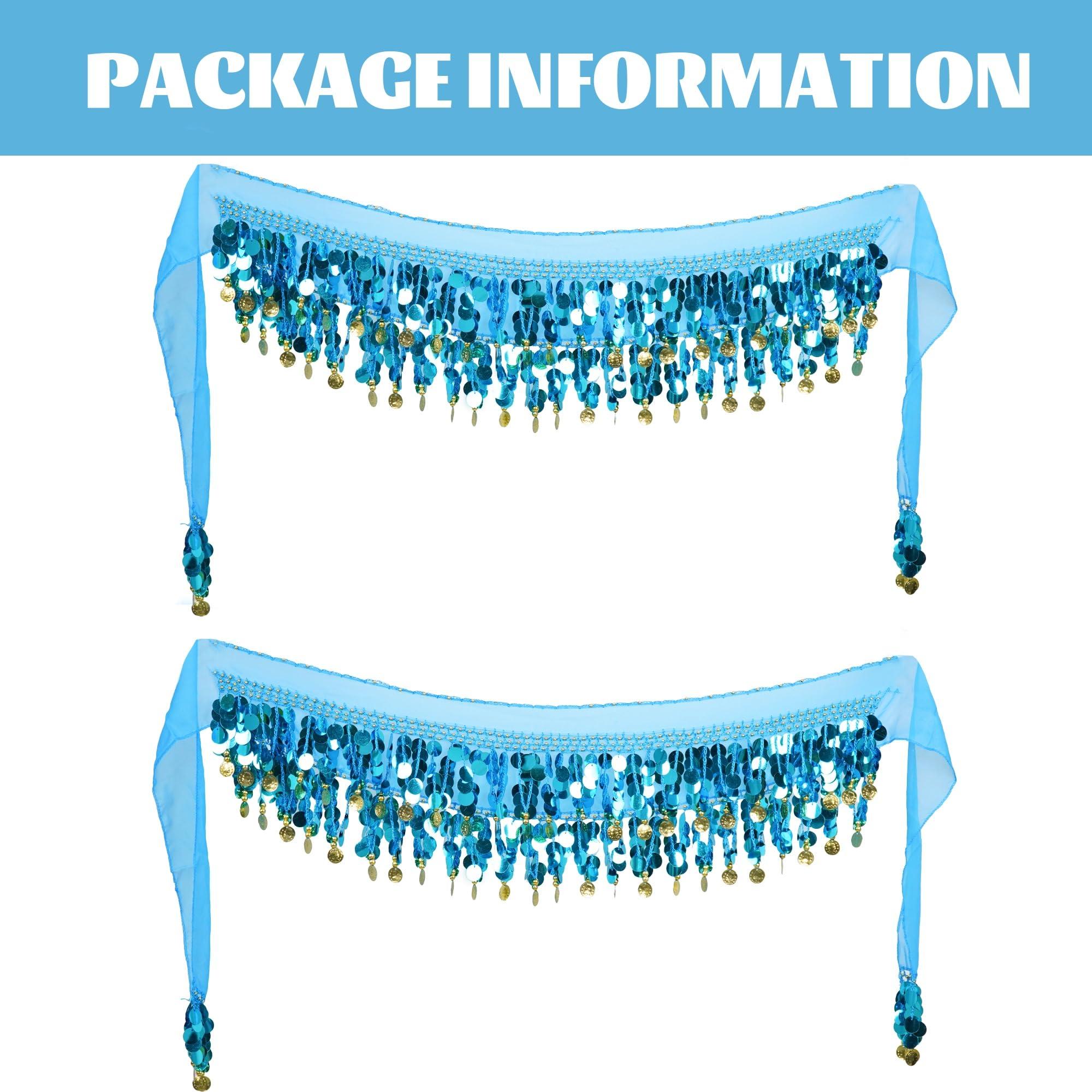 Baisdan Belly Dance Skirt 2Pack, Belly Dance Hip Scarf, Belly Dancer Costumes for Women, Belly Dancing Outfits, Coin Skirts - Image 3