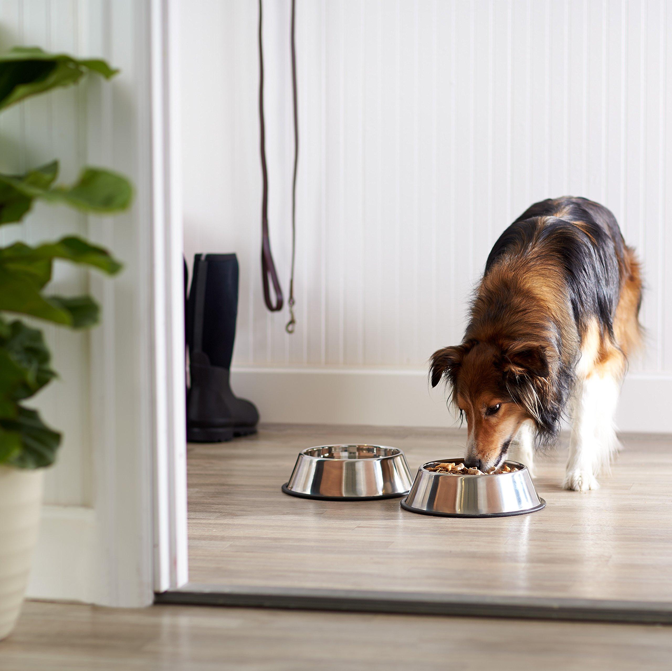 Amazon Basics Stainless Steel Non-Skid Pet Dog Water And Food Bowl, 2-Pack (10 x 2.8 Inches), Each Holds Up to 4 Cups - Image 6