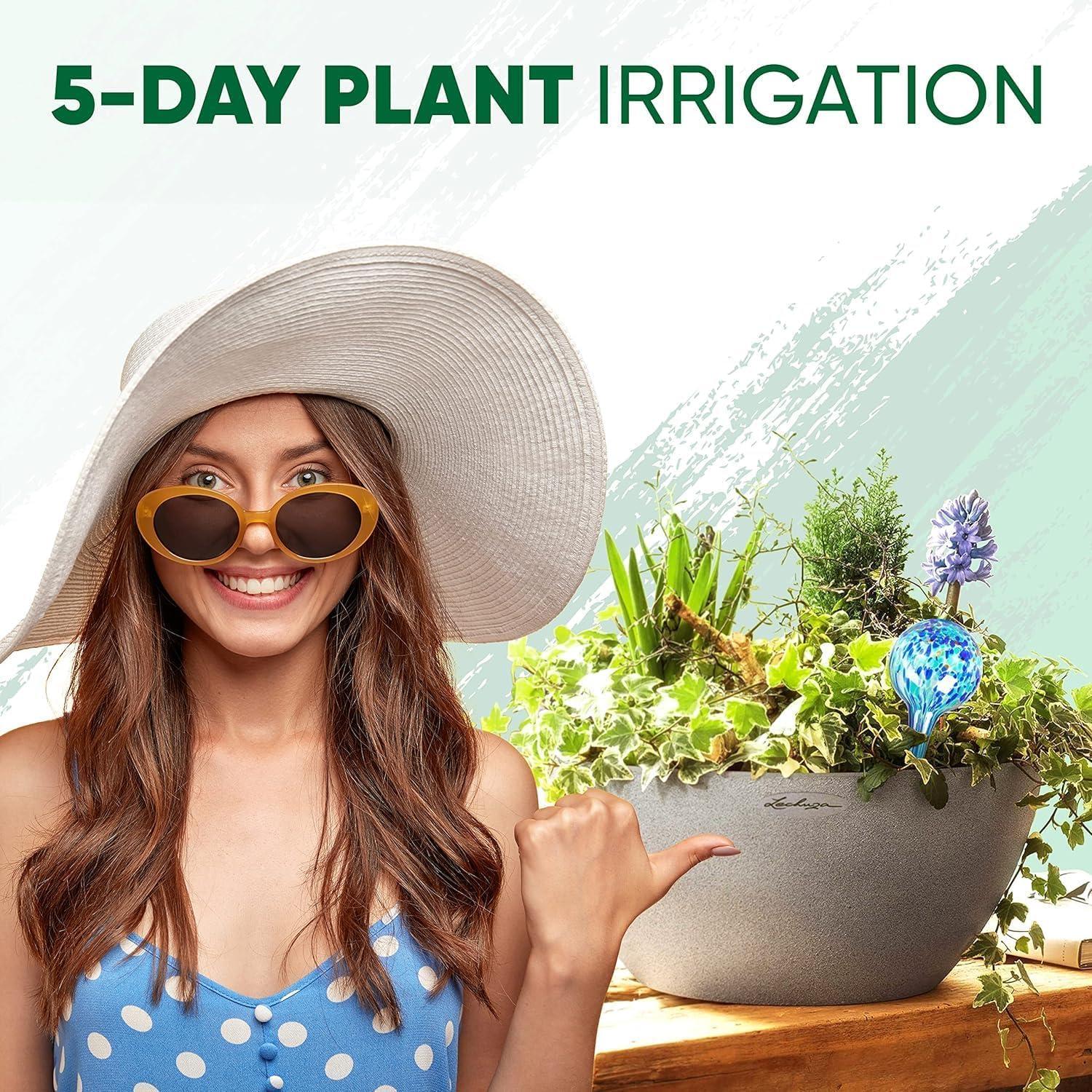 Mission Gallery Plant Watering Globes Set of 6 - Small Self Watering Globes for Indoor & Outdoor Plants - Multicolored, Automatic, Glass Watering Bulbs for Daily Use, Plant Watering Devices - Image 6