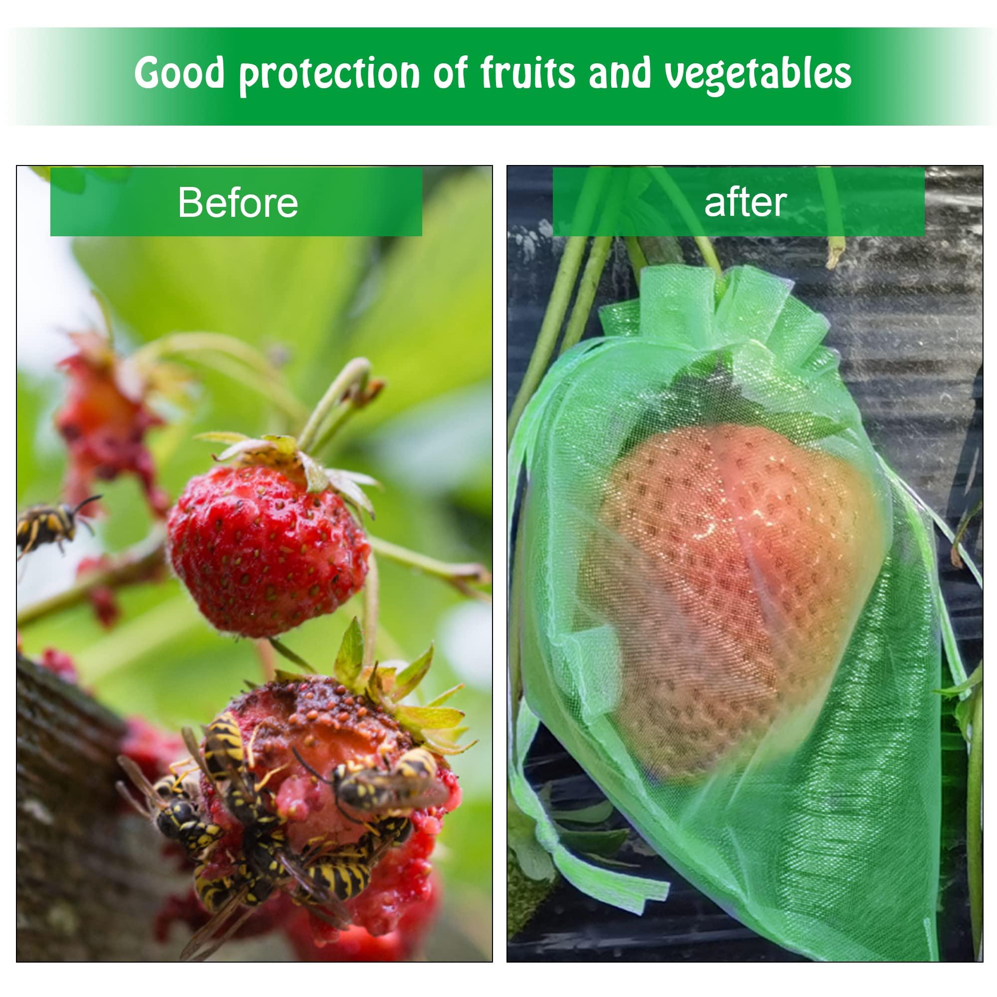 6x8 Inch 100 Pieces Green Fruit Protection Bags- Fruit Netting Bags with Drawstring,Garden Fruit Cover Mesh Bag to Protect Plants from Pest Birds Squirrels - Image 4