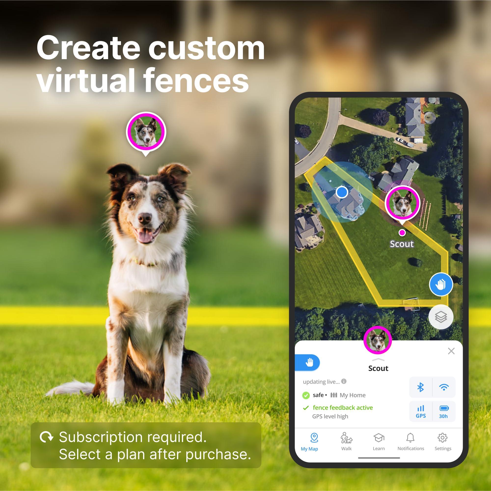 Halo Collar 4, All New GPS Wireless Dog Fence & Dog Training Collar with GPS Tracker, Subscription Required, Waterproof, One Size, Graphite - Image 3