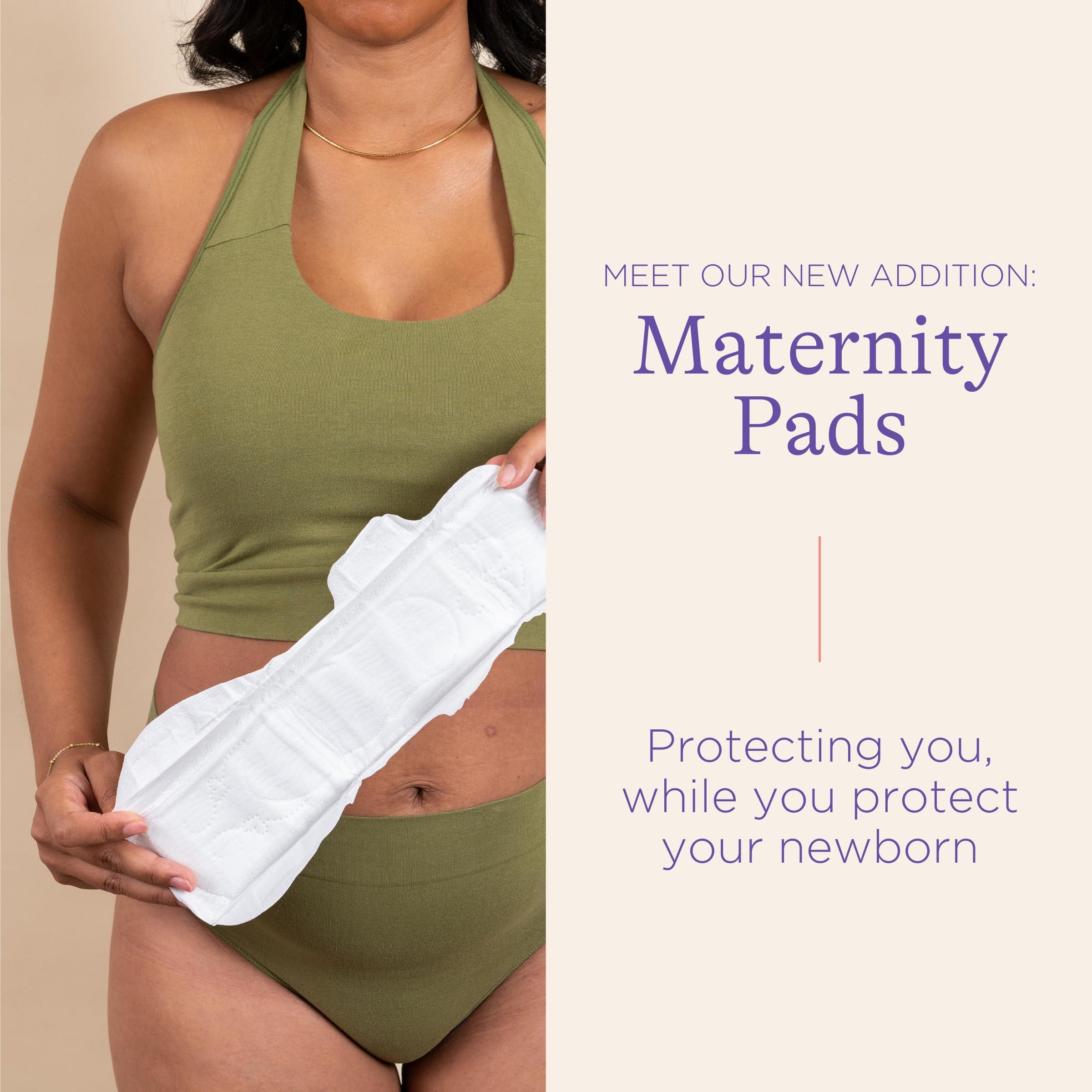 Lansinoh Postpartum Maxi Pads Bundle, 40 Count, Heavy Absorbency Overnight Pads with Wings, Includes 2 Sizes for Extra Protection, Postpartum Essentials - Image 5