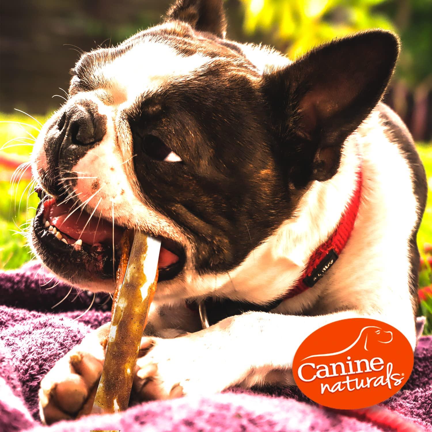 Canine Naturals Peanut Butter Chew - Rawhide Free and Dog Treats - Made from Real Peanut Butter - All-Natural and Easily Digestible - 40 Pack of 5 Inch Stick Chews - Image 6