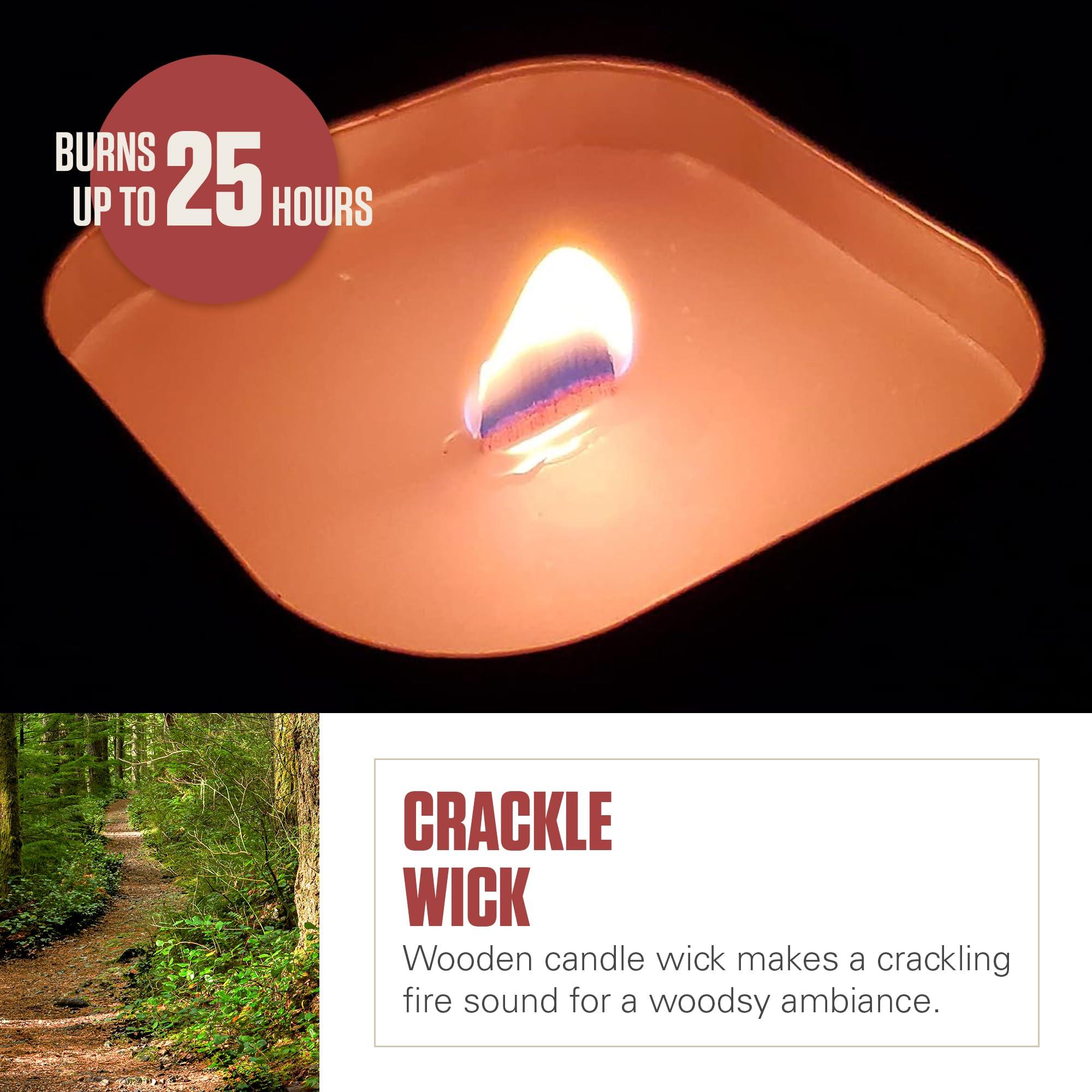 Coleman Pine Scented Citronella Candle with Wooden Crackle Wick - 6 oz Tin - Image 4