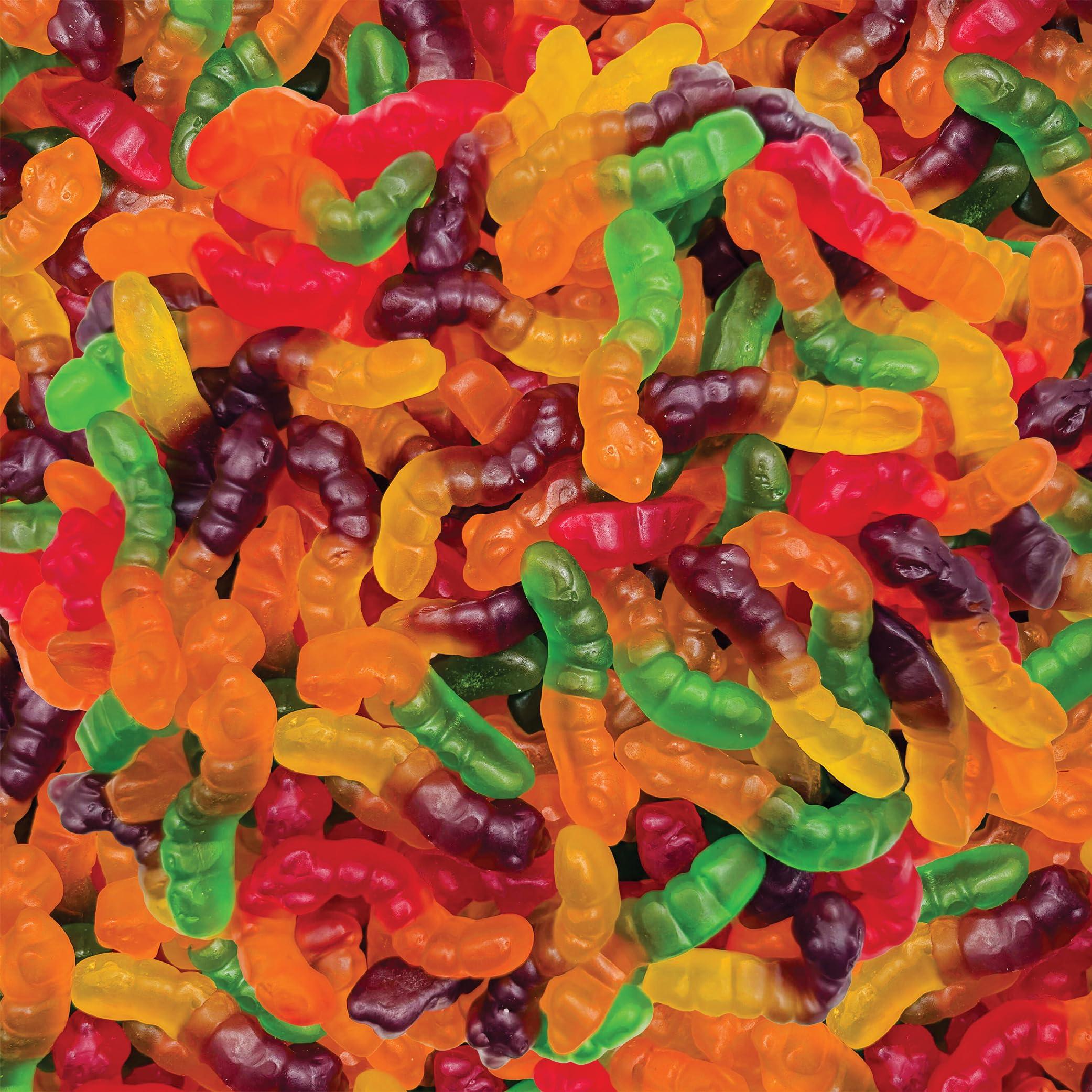 Gummy Worms Candy - 11 Ounce Pack - Assorted Fruit Flavors - Colorful and Playful Treat - Image 1