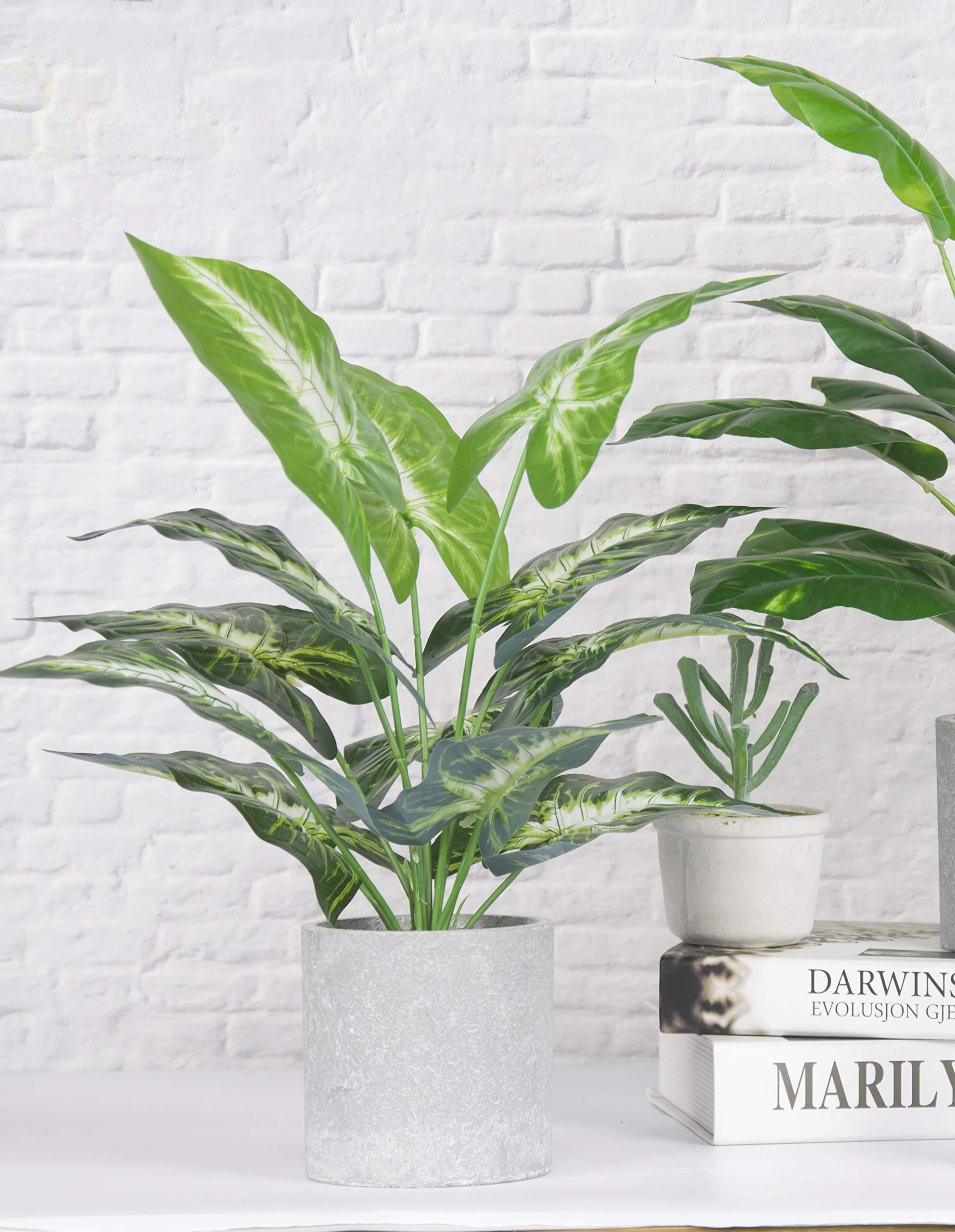 JC nateva 16" Small Fake Plants Artificial Tropical Faux Plants Indoor for Office Desk Shelf Bathroom Home Decor - Image 2