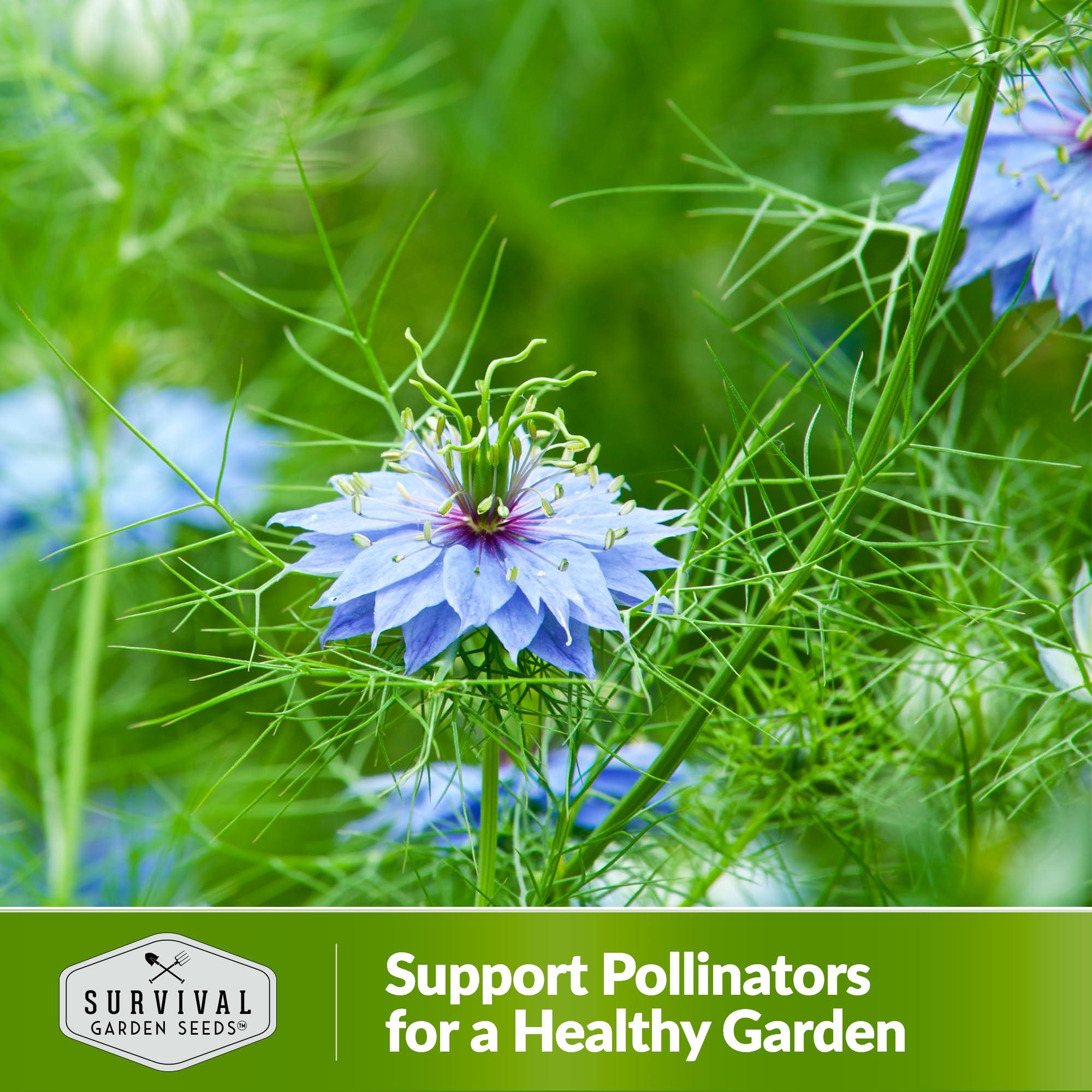 Black Cumin Seed for Planting - 1 Packet with Instructions to Plant and Grow Beneficial Nigella Sativa Plants in Your Home Vegetable Garden - Non-GMO Heirloom Variety - Survival Garden Seeds - Image 5