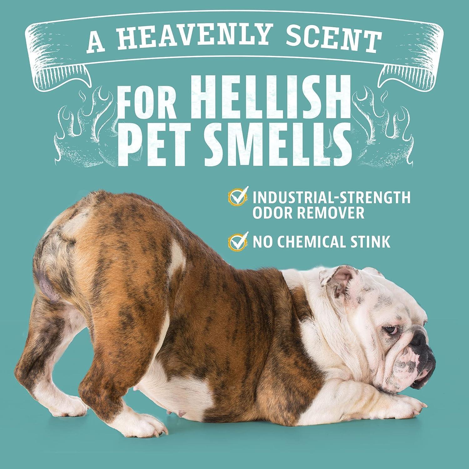 ANGRY ORANGE Pet Odor Eliminator for Dog and Cat Urine, Carpet Stains, and Strong Smells – Citrus Cleaner with Natural Orange Oil – 24 oz - Image 7